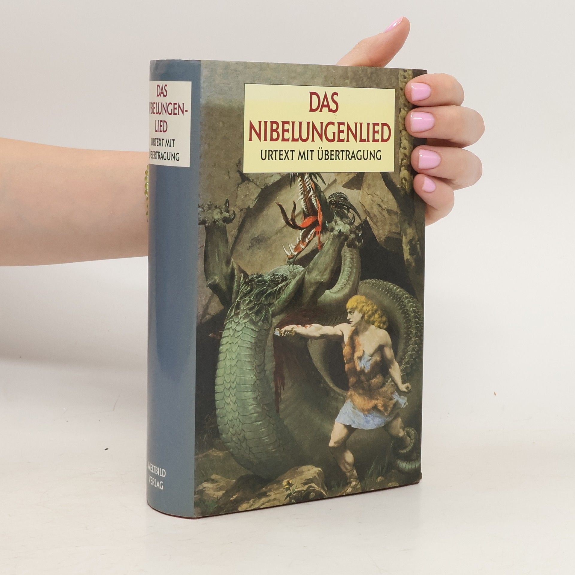 Various authors Das Nibelungenlied