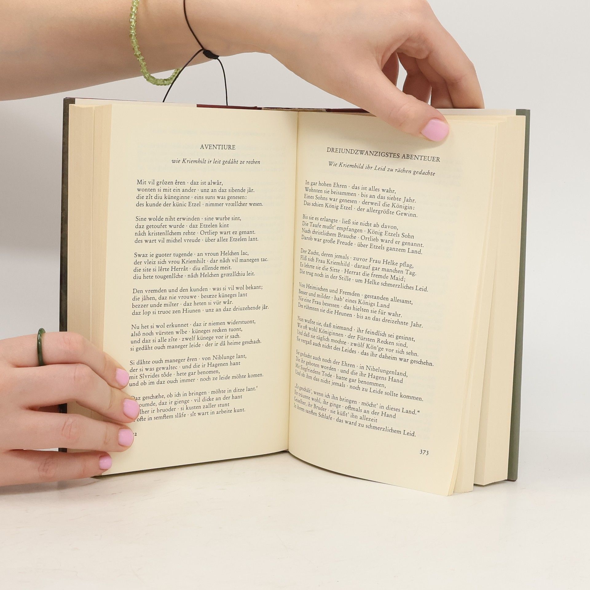 Various authors Das Nibelungenlied