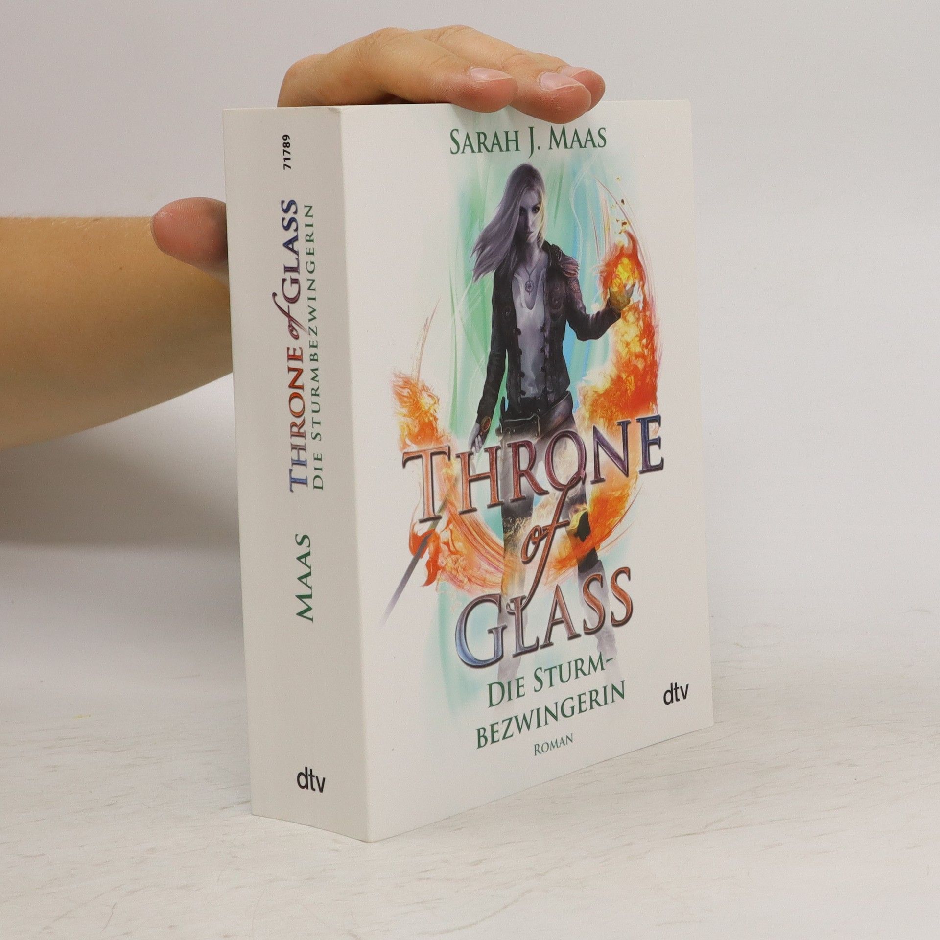 Sarah J. Maas Die Sturmbezwingerin
