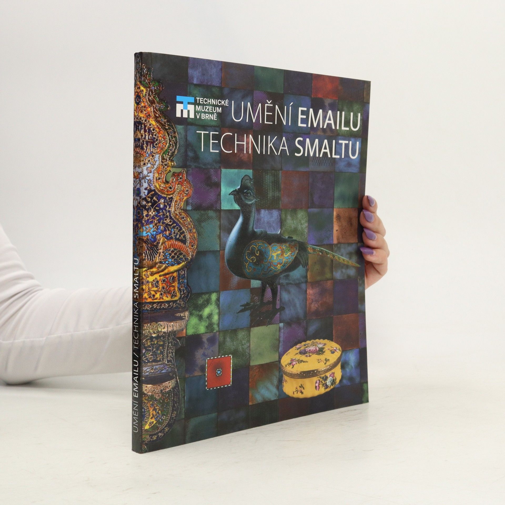 Martin Hložek Umění emailu / Technika smaltu