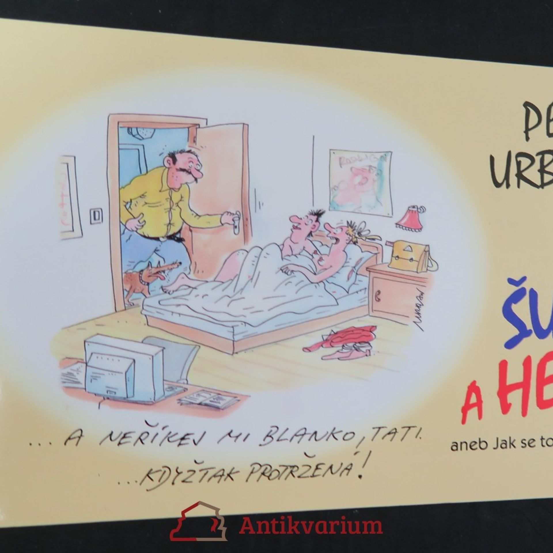 Petr Urban Šuk a hek, aneb, Jak se to dělá