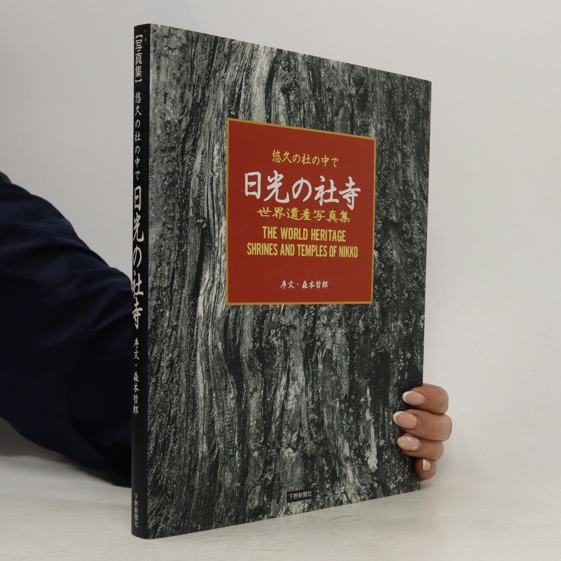 Morimoto Tetsurō 日光の社寺. Nikkōnoshaji
