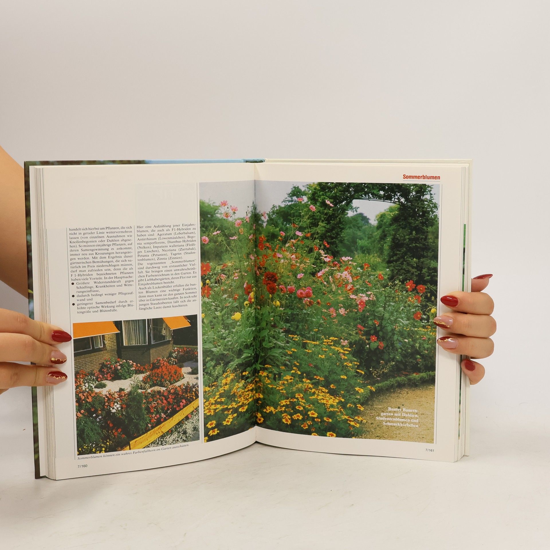 Collectif d'auteurs Blumen & Garten 7