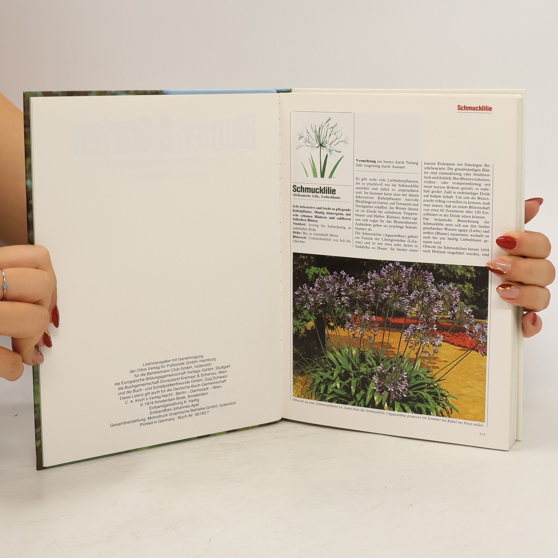 Collectif d'auteurs Blumen & Garten 7