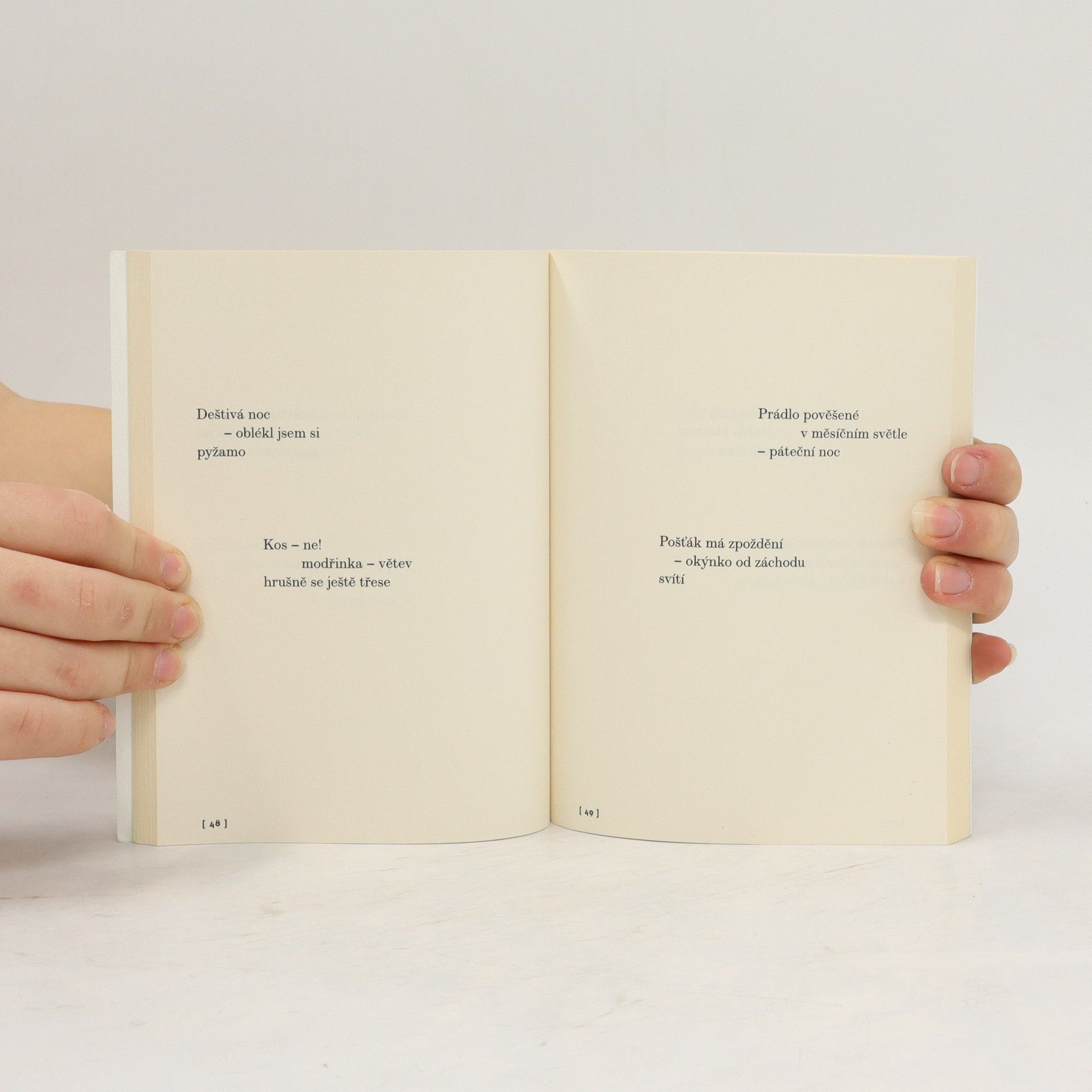 Jack Kerouac Kniha haiku