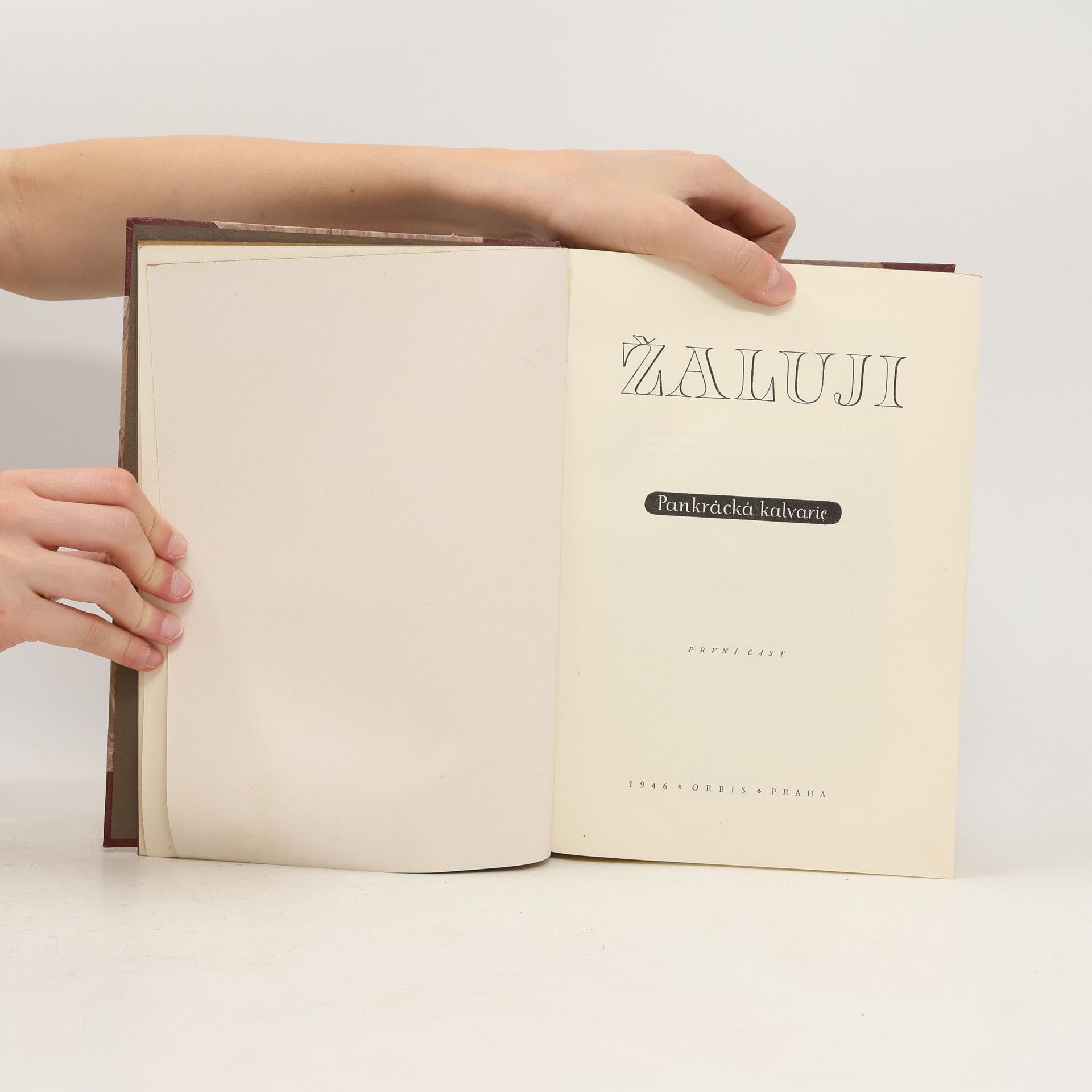 R. Karel Žaluji. Pankrácká kalvárie. 1. část