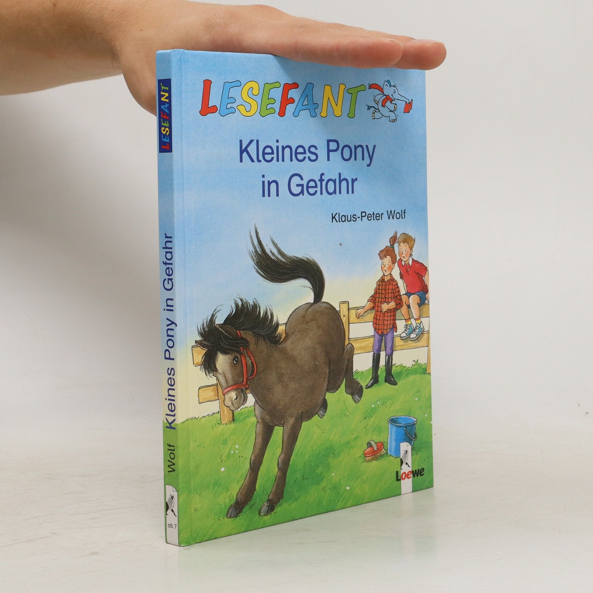 Klaus-Peter Wolf Kleines Pony in Gefahr