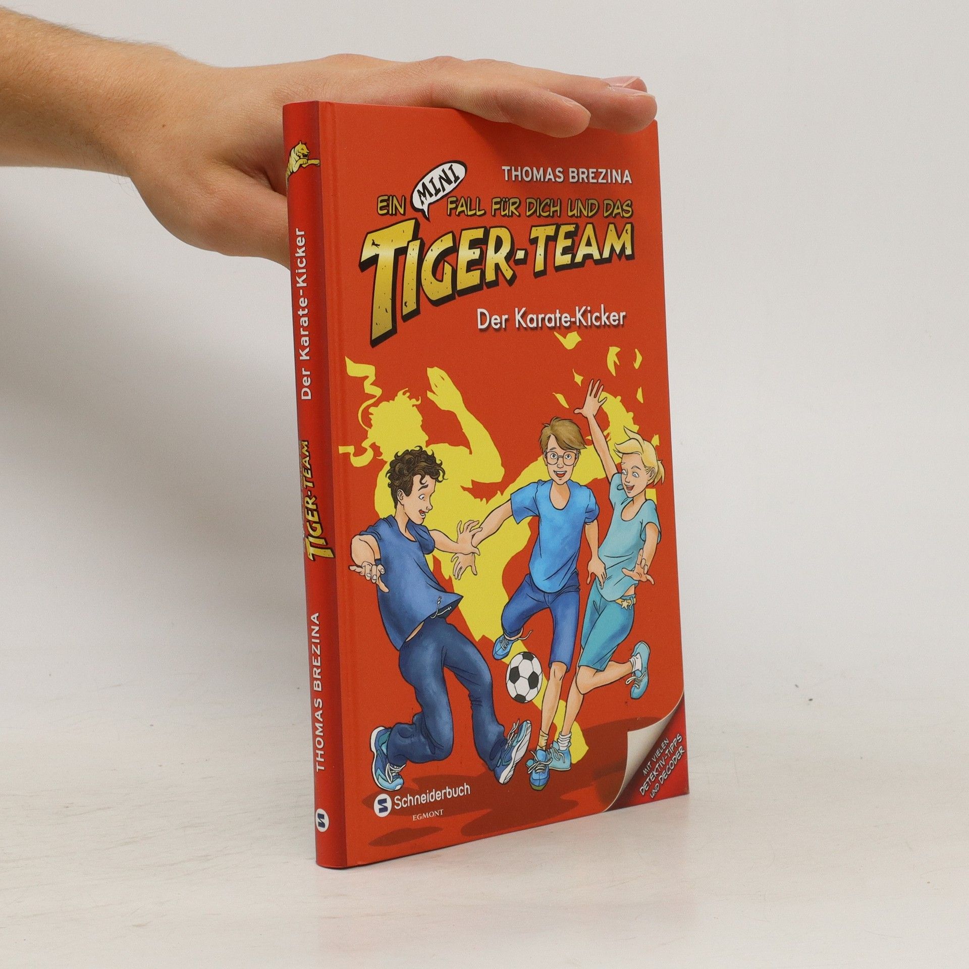 Thomas Brezina Ein Mini-Fall für Dich und das Tiger-Team