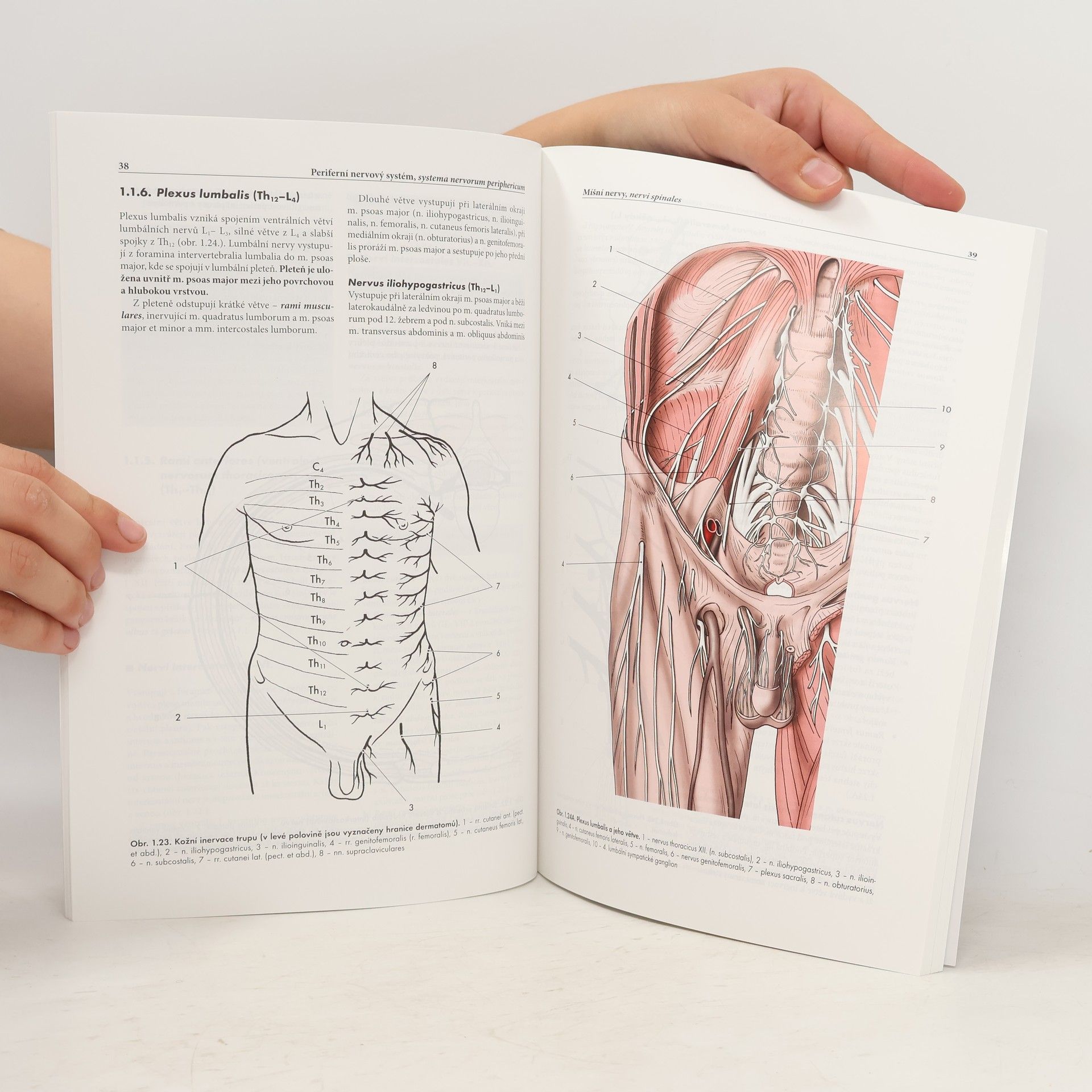 Rastislav Druga Anatomie periferního nervového systému, smyslových orgánů a kůže