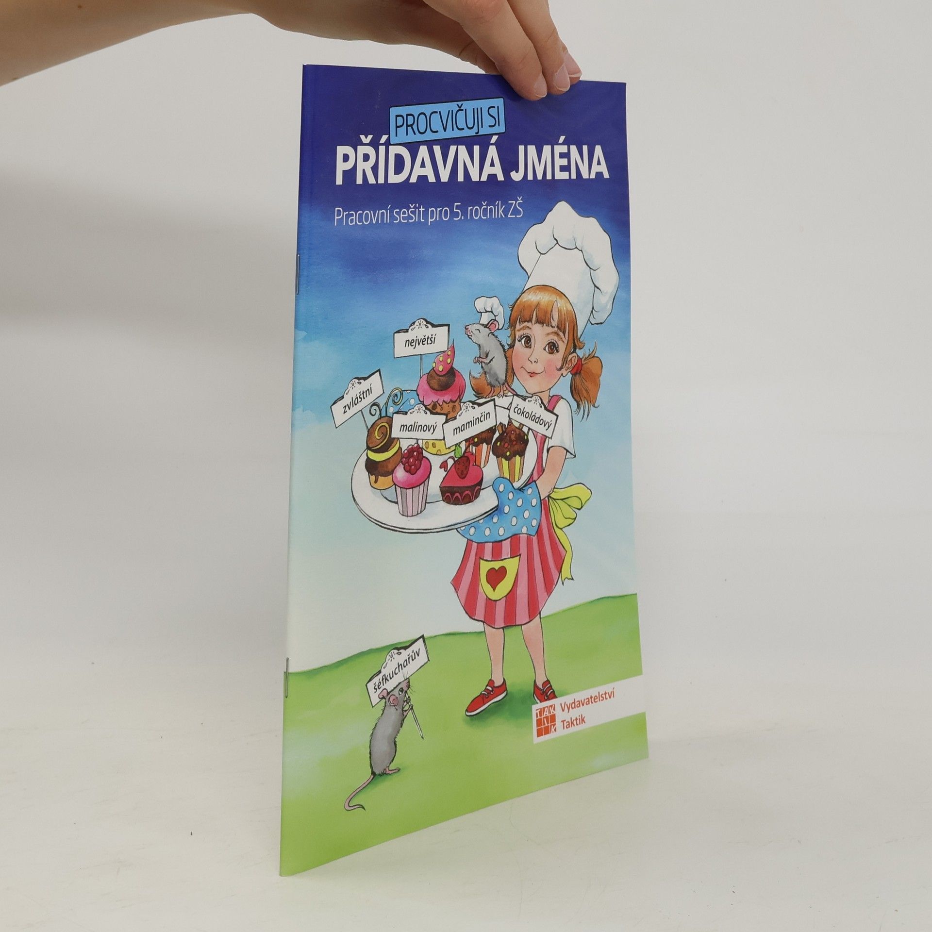 Procvičuji si přídavná jména : pracovní sešit pro 5. ročník ZŠ