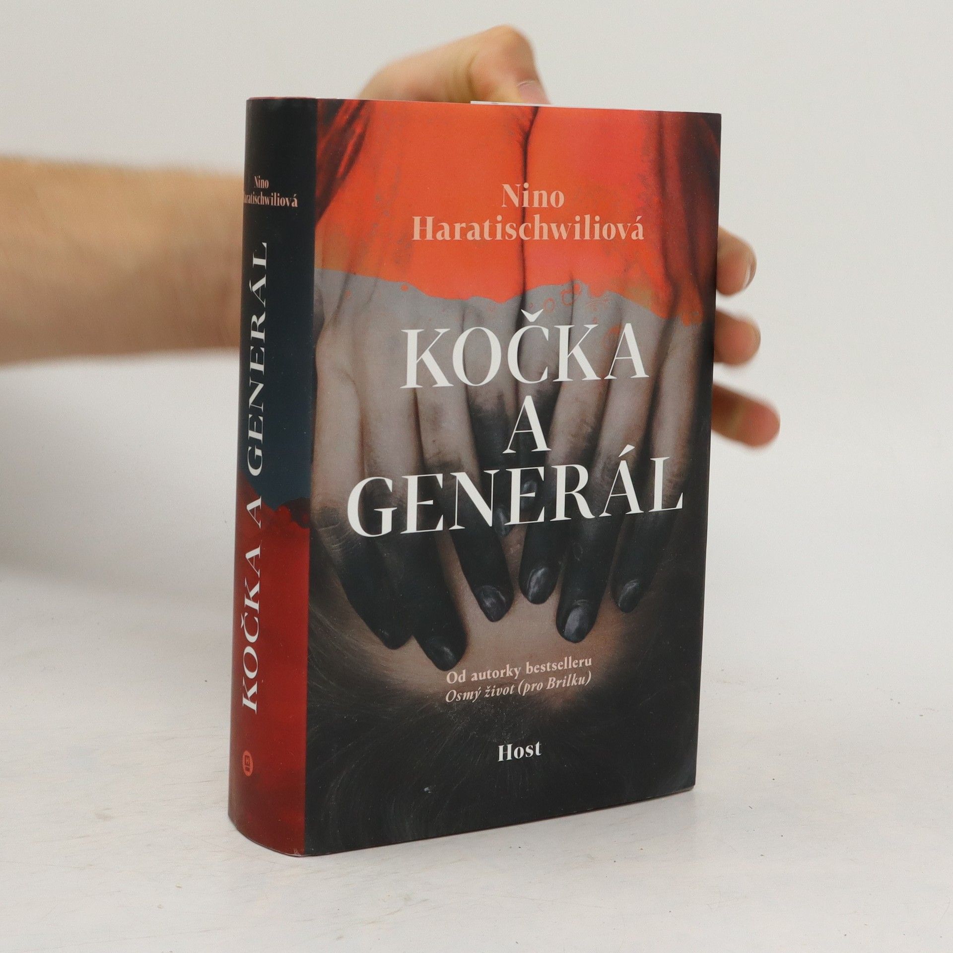 Nino Haratischwili Kočka a generál