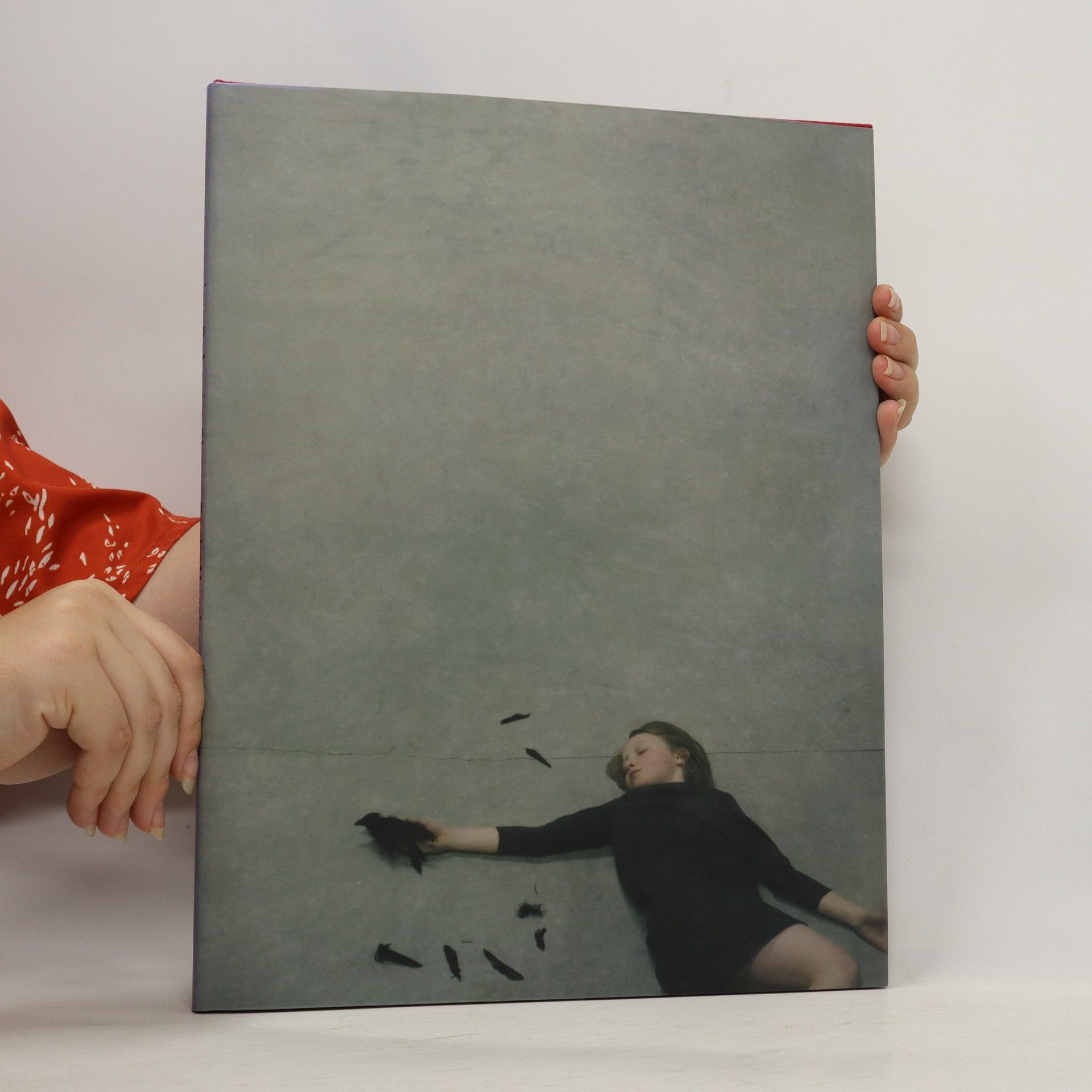 Robert Parke Harrison Counterpoint