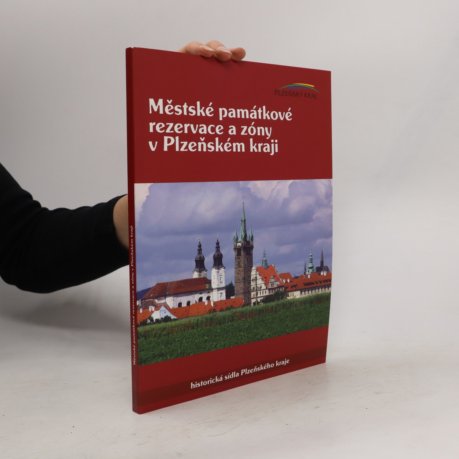 Autorenkollektiv Městské památkové rezervace a zóny v Plzeňském kraji