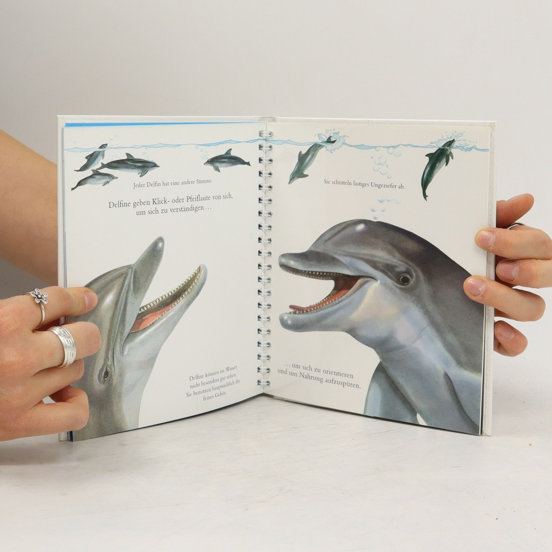 Sylvaine Peyrols Der Delfin