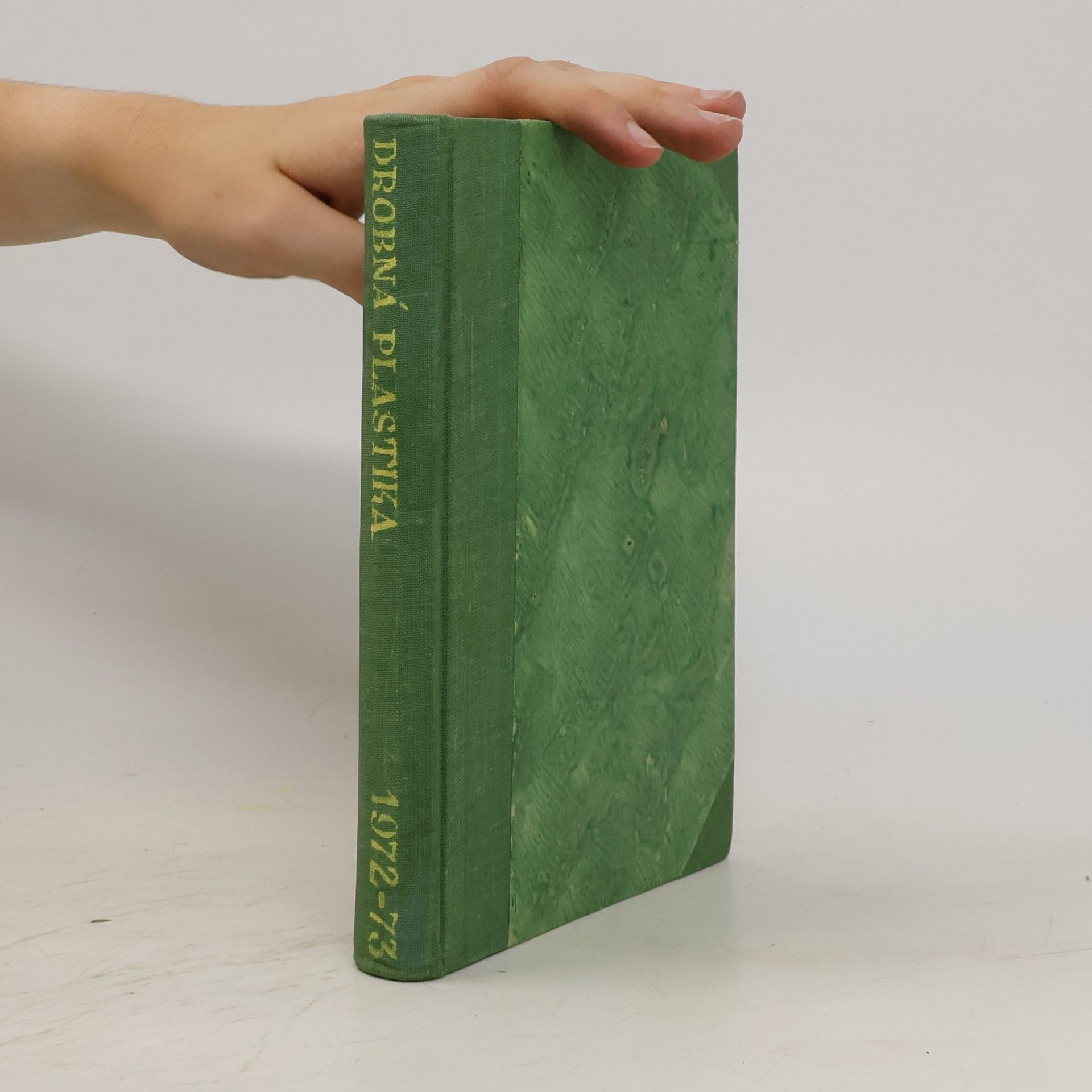 Kolektiv autorů Drobná plastika