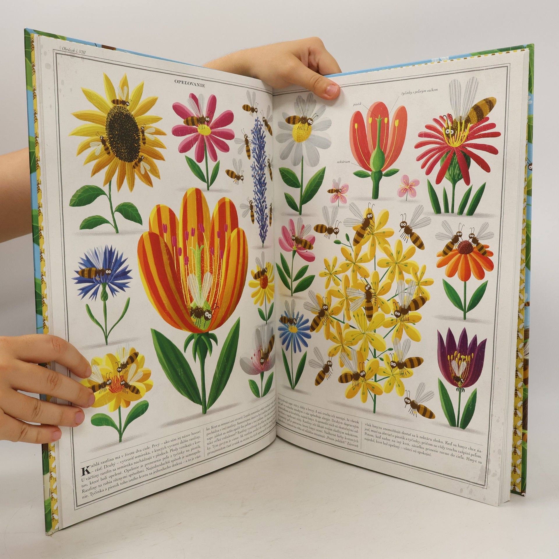 Piotr Socha Včely
