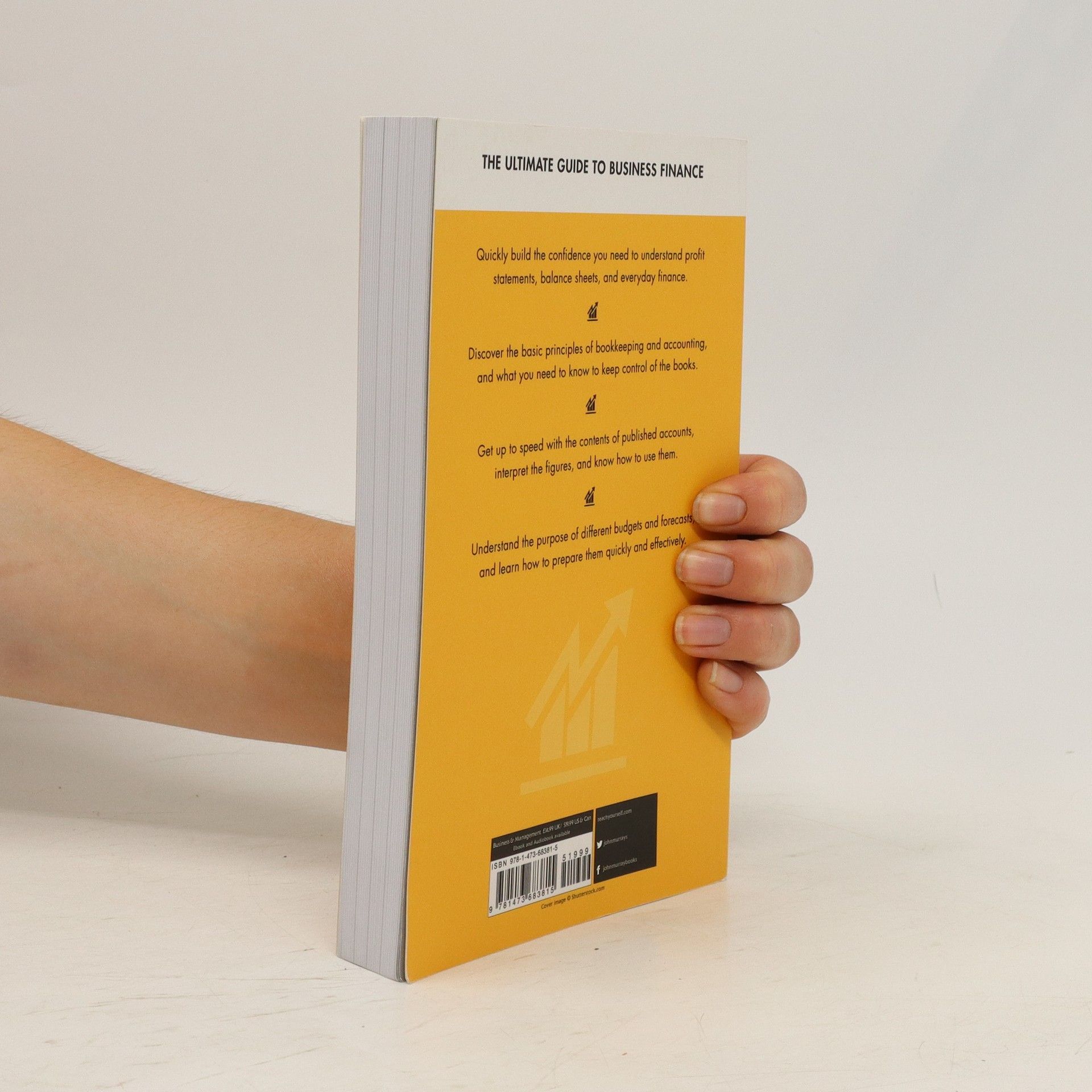 Roger Mason The Ultimate Finance Book
