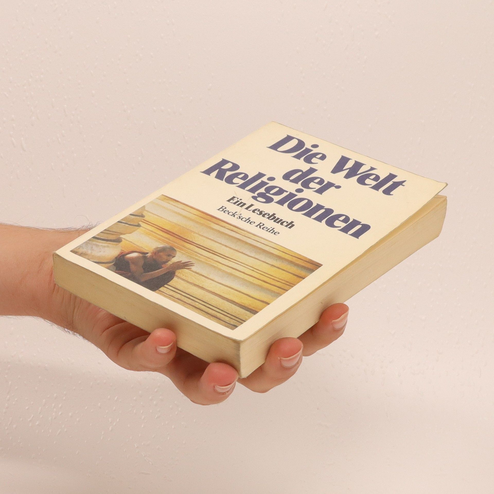 Stephan Wehowsky Die Welt der Religionen : ein Lesenbuch