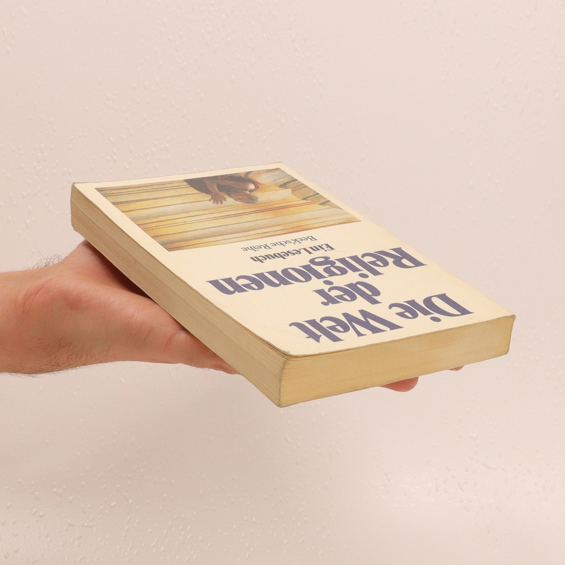 Stephan Wehowsky Die Welt der Religionen : ein Lesenbuch