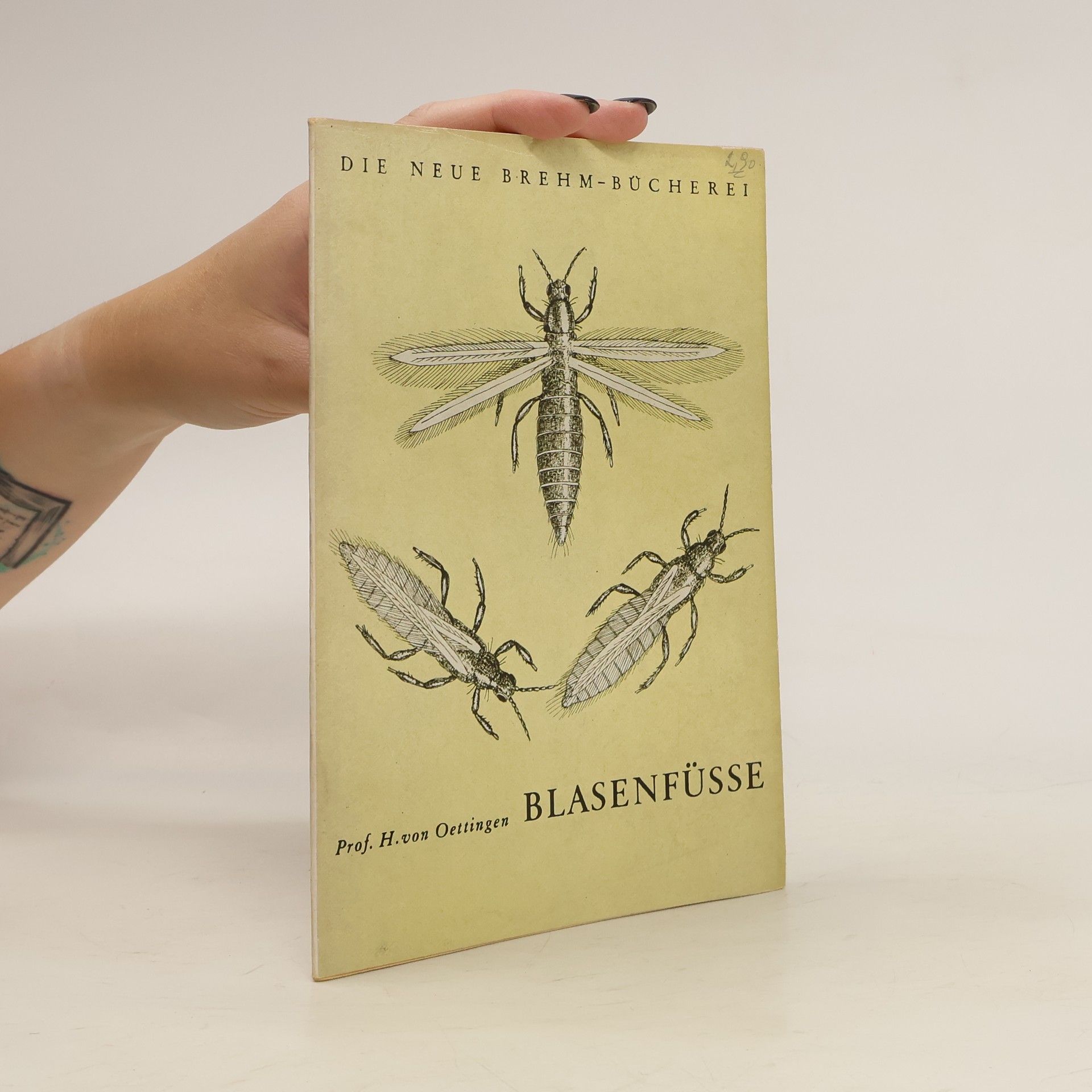 Heinrich von Oettingen Blasenfüsse. Die neue brehm-bücherei