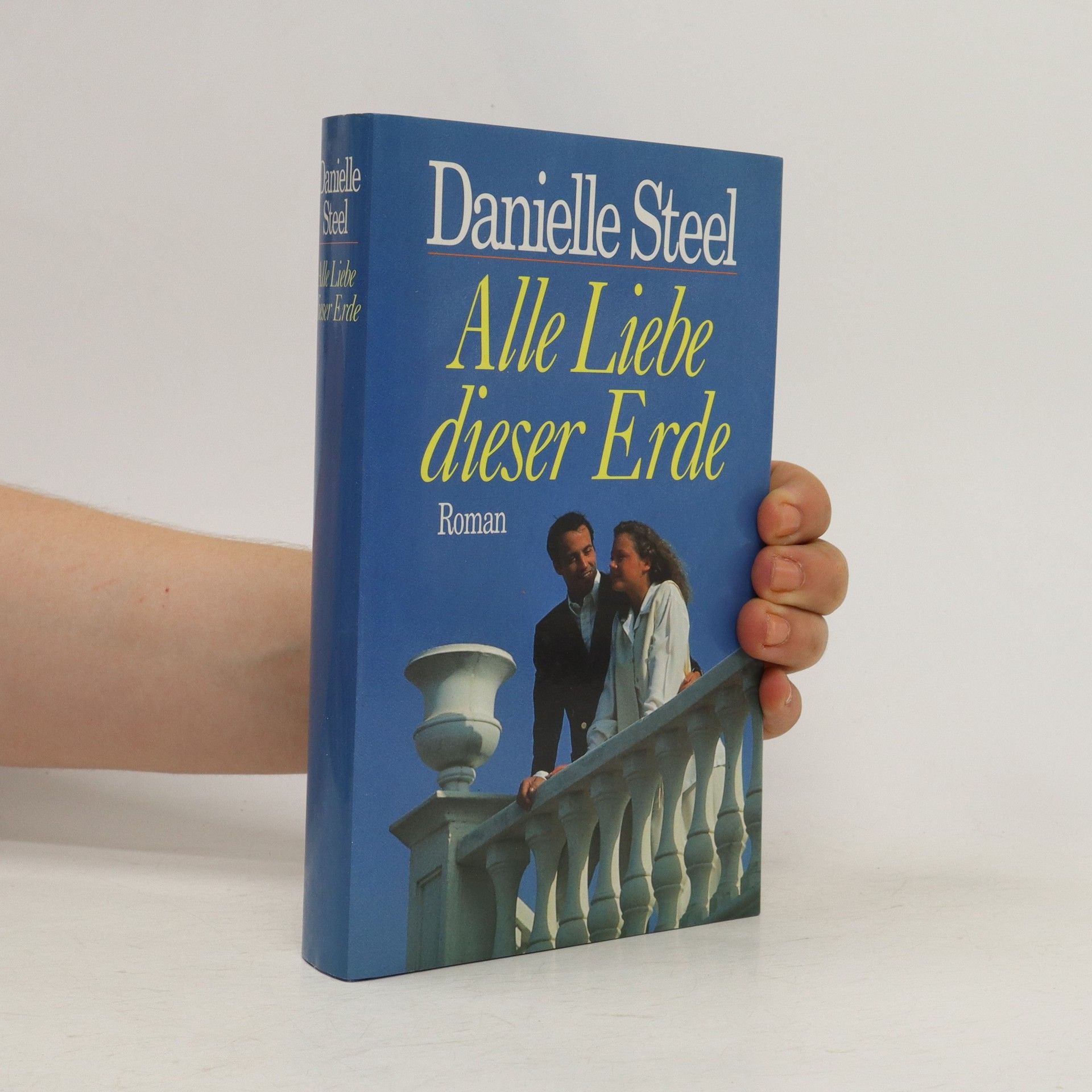 Danielle Steel Alle Liebe dieser Erde