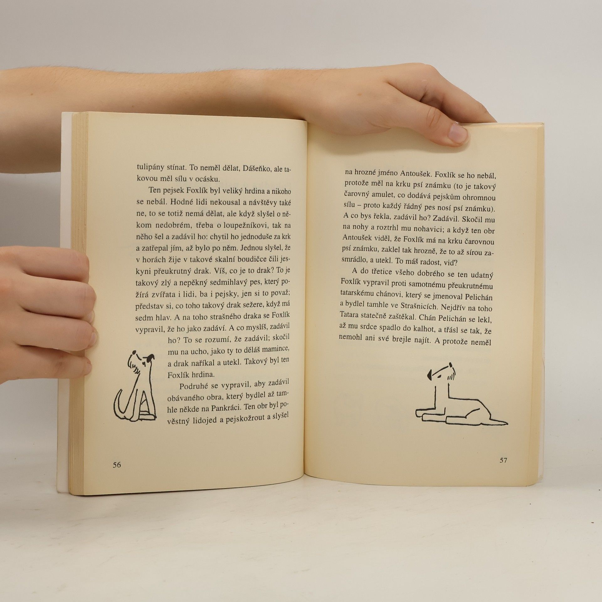 Karel Čapek Dášeňka čili život štěněte