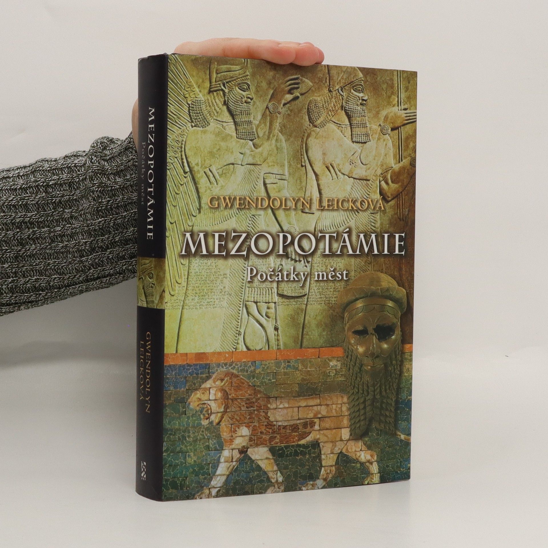 Gwendolyn Leick Mezopotámie : počátky měst