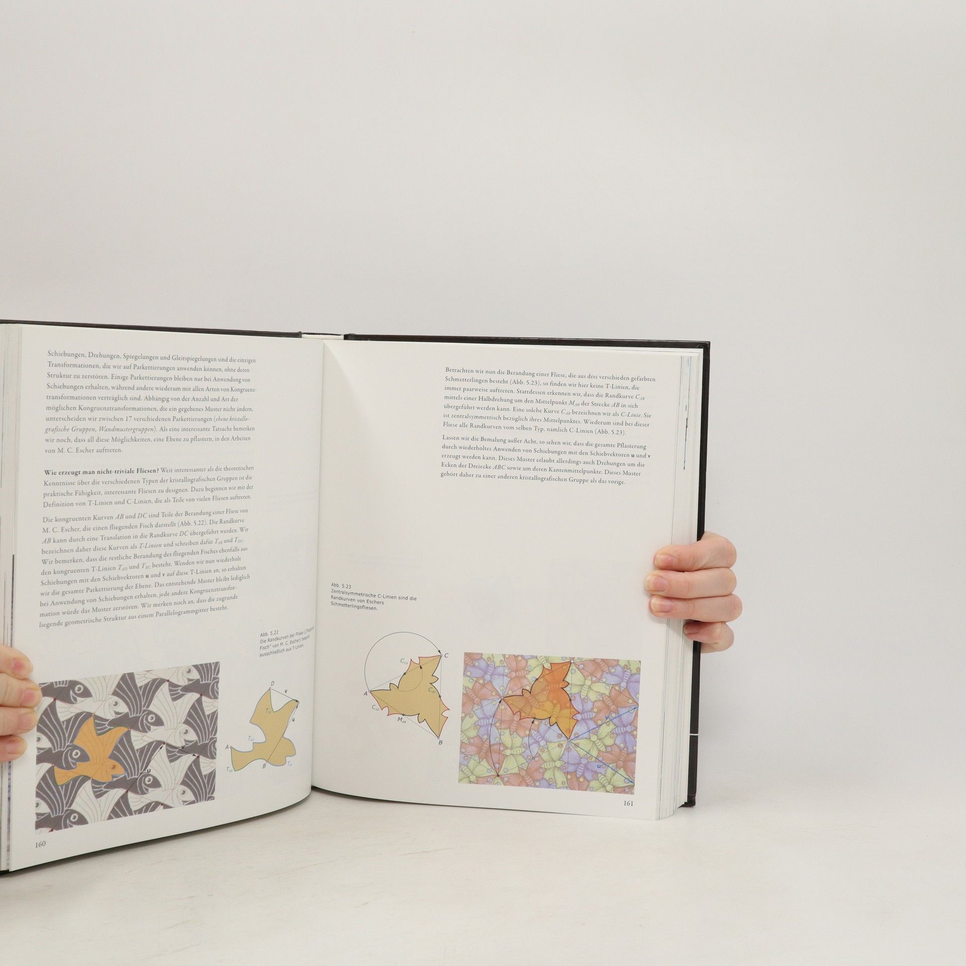 Helmut Pottmann Architekturgeometrie