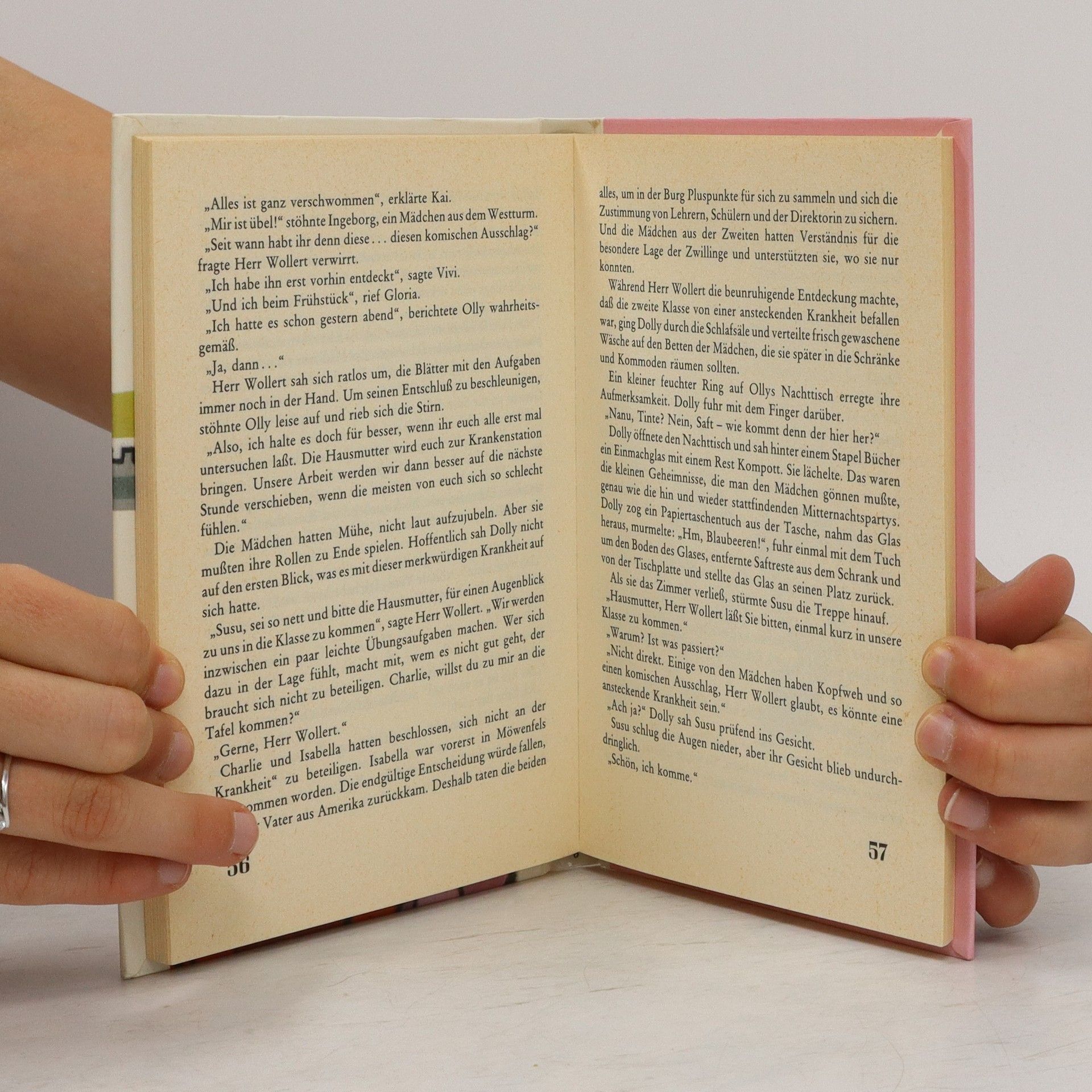 Enid Blyton Dolly 12. Die jüngste Burgmöwe