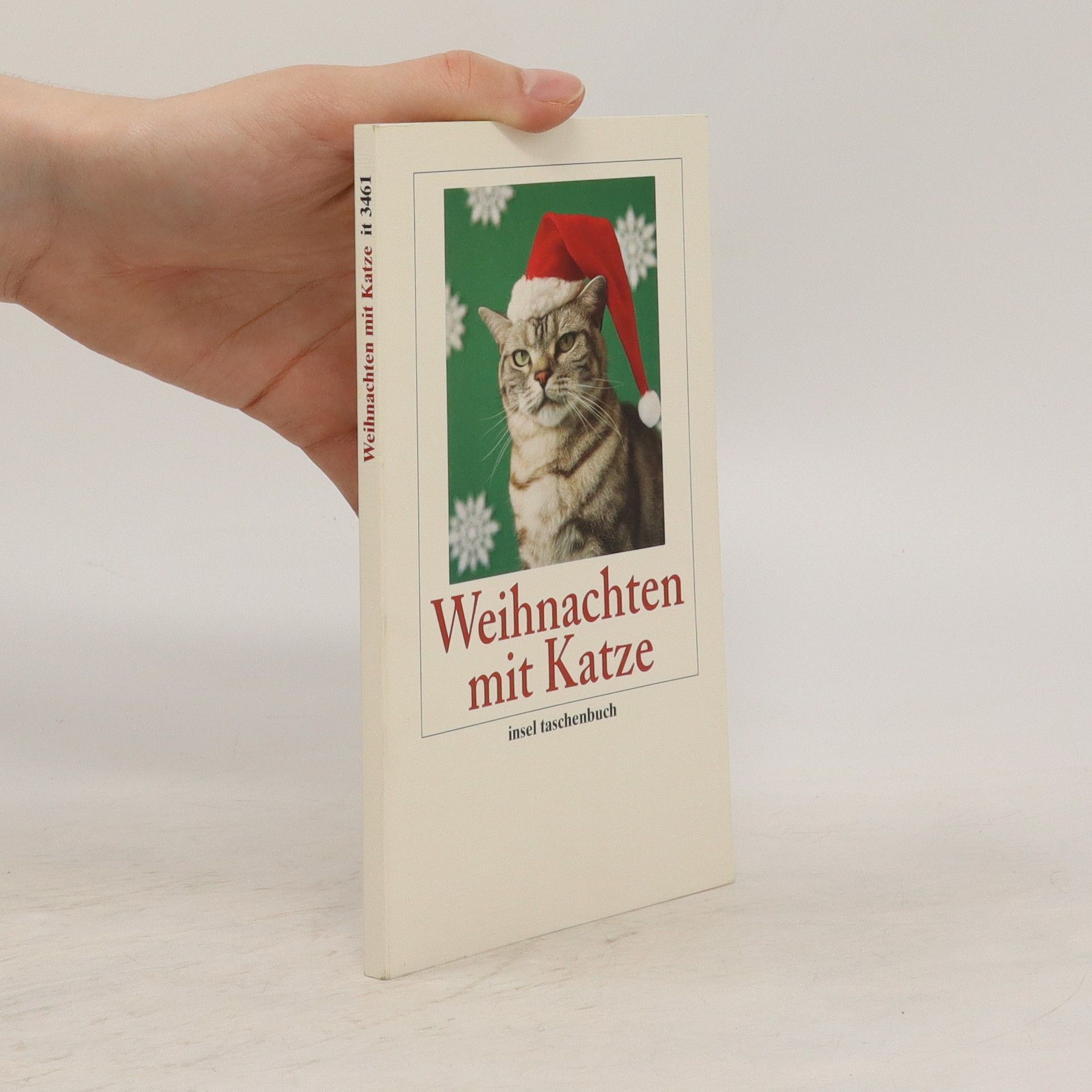 Gesine Dammel Weihnachten mit Katze