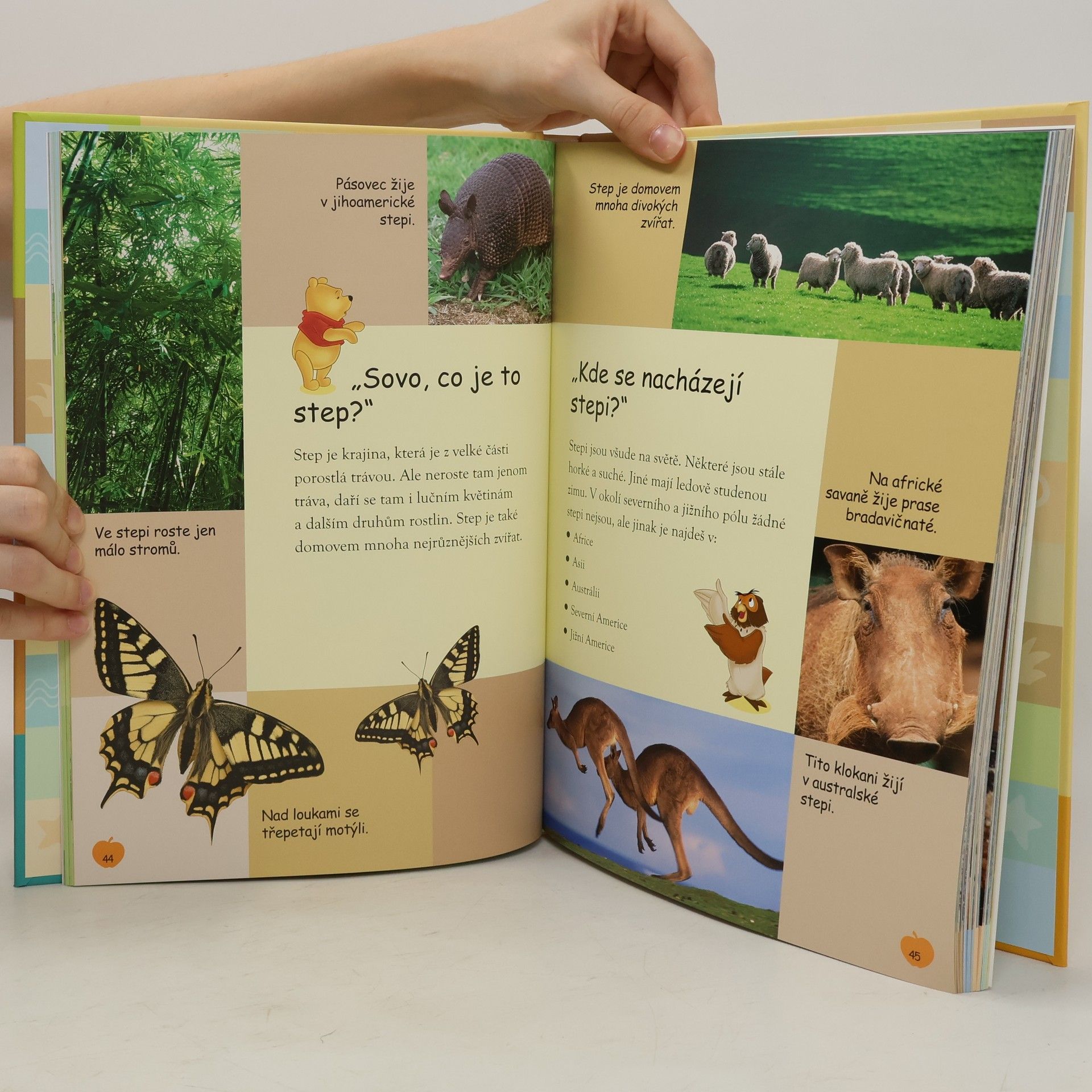 A. A. Milne Země. Moje první encyklopedie s Medvídkem Pú a jeho přáteli.