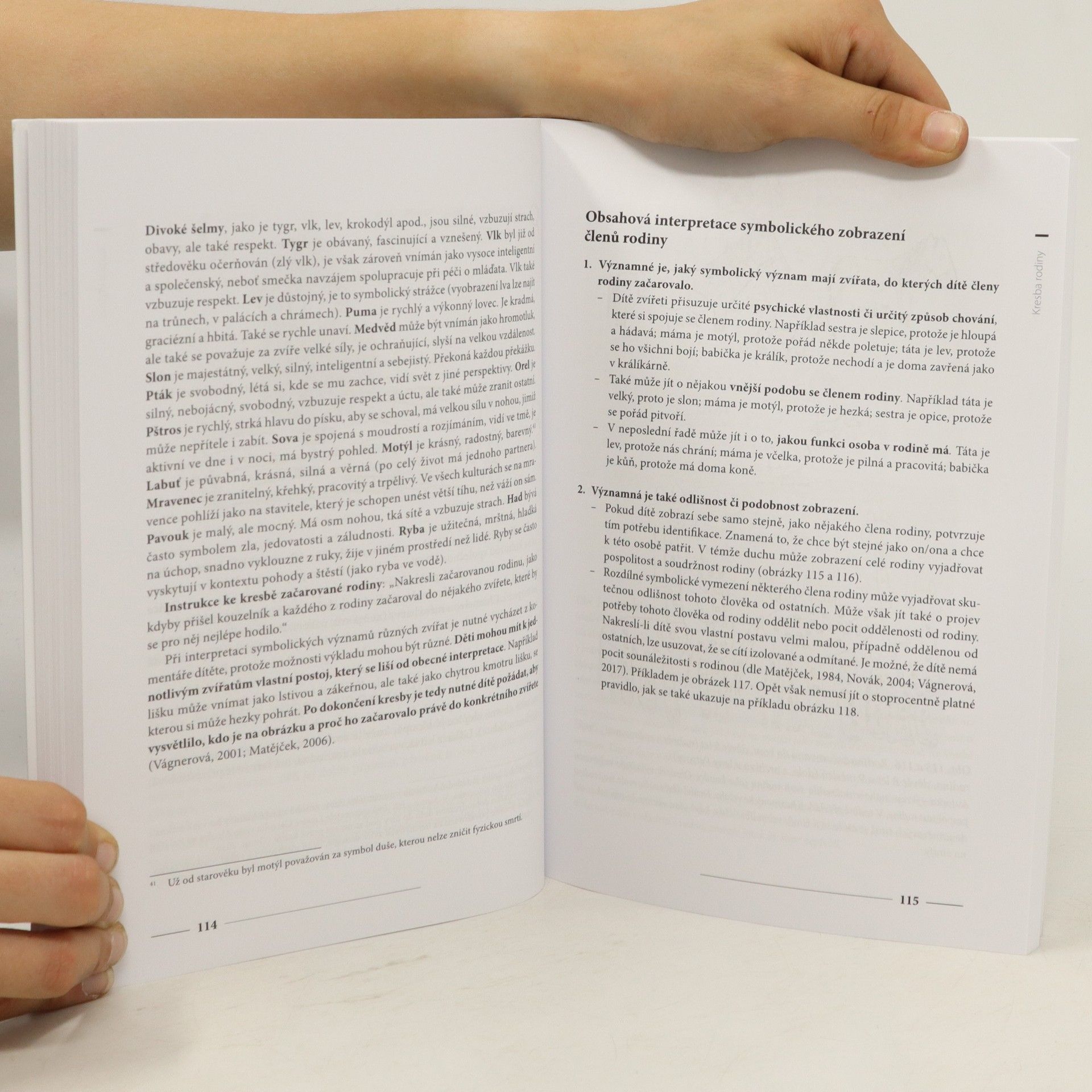 Irena Plevová Dětský výtvarný projev : v pedagogické praxi
