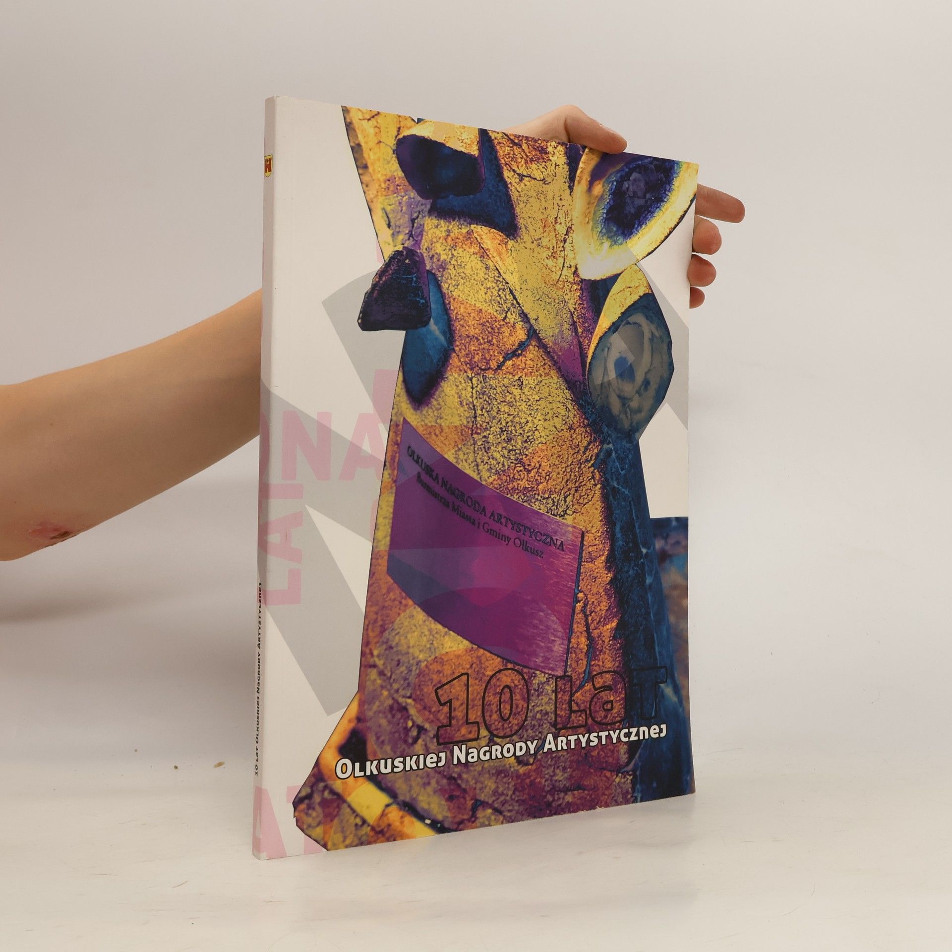 Autorenkollektiv 10 Lat olkuskiej nagrody artystycznej