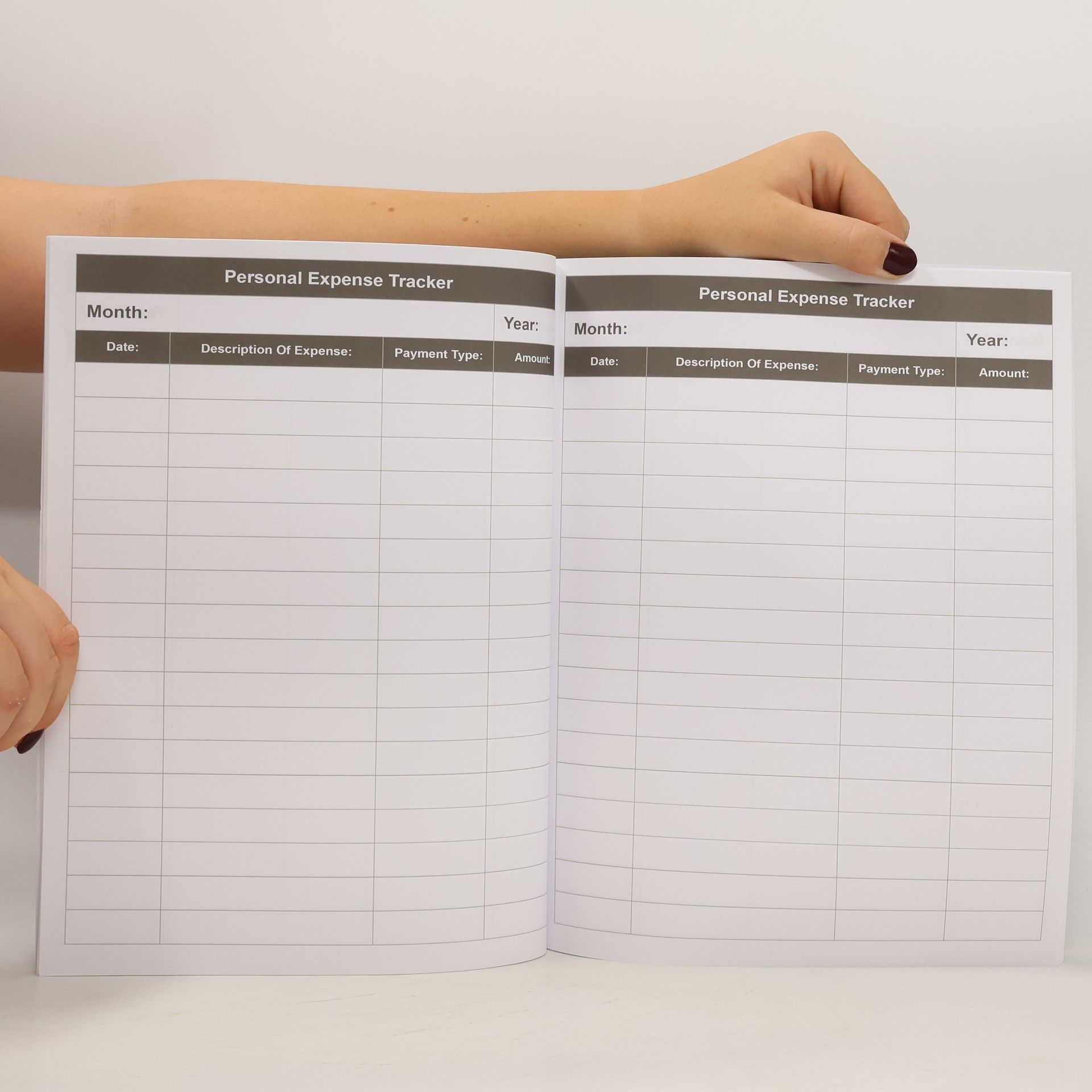 Kolektiv autorů Personal Expense Tracker Journal