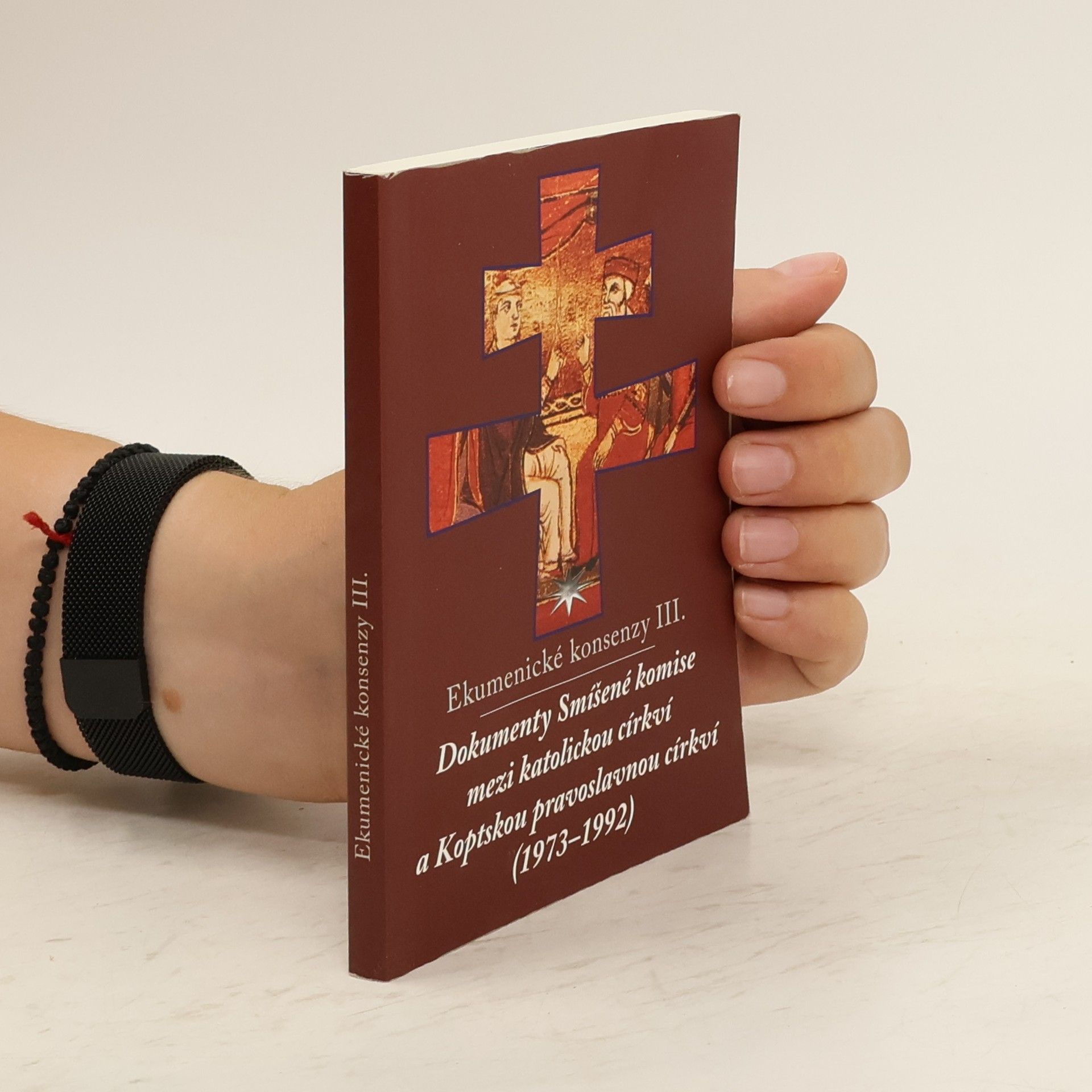 Collectif d'auteurs Ekumenické konsensy III.
