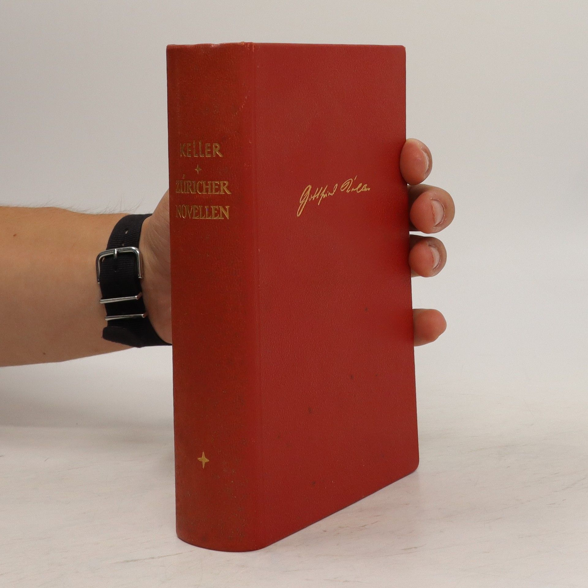Gottfried Keller Züricher Novellen