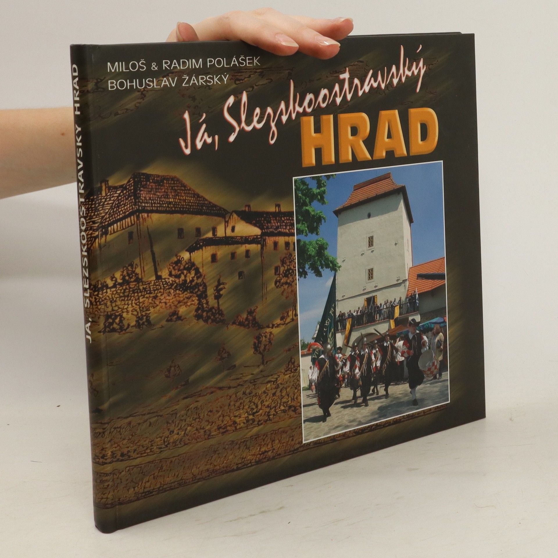 Miloš Polášek Já, Slezskoostravský hrad