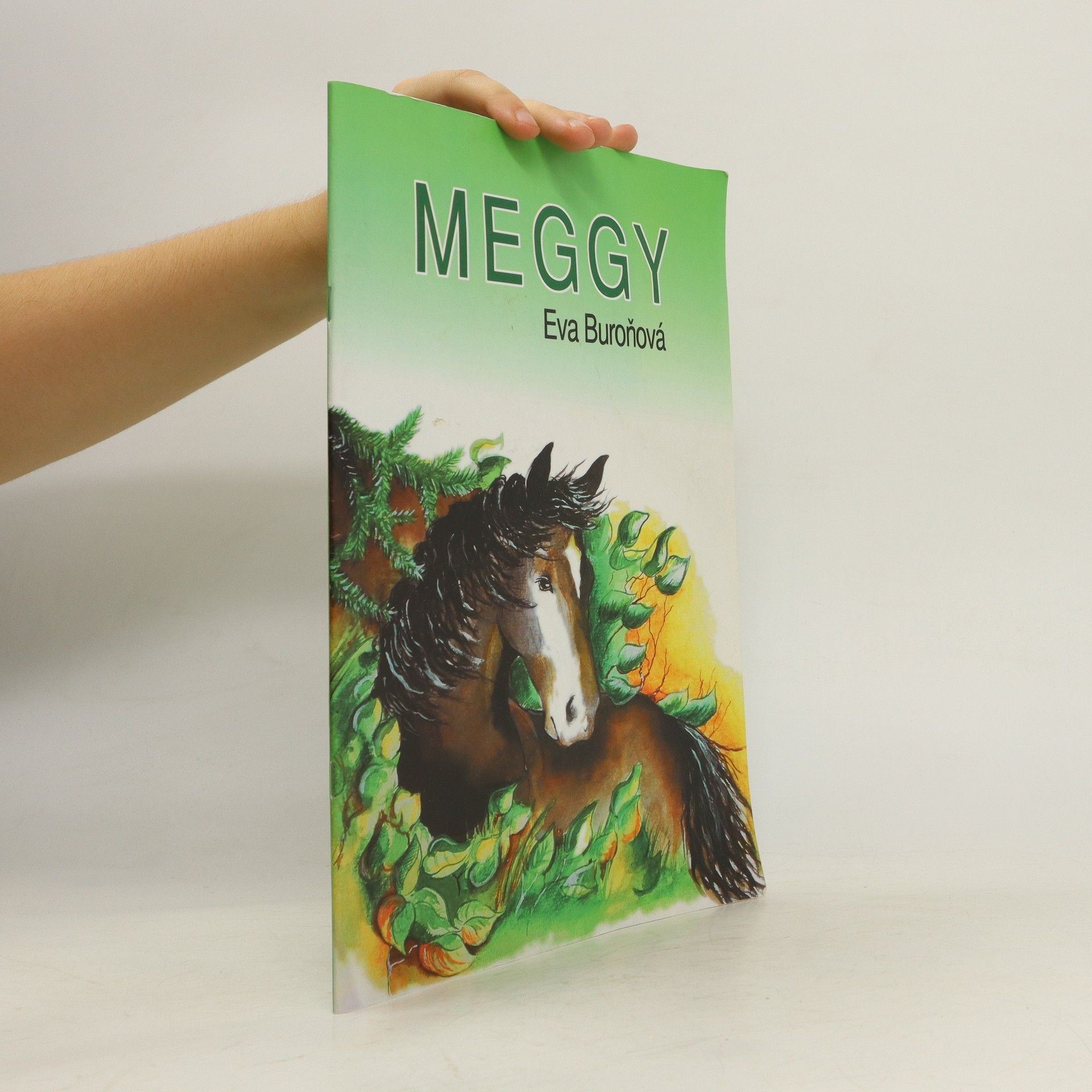 Eva Buroňová Meggy