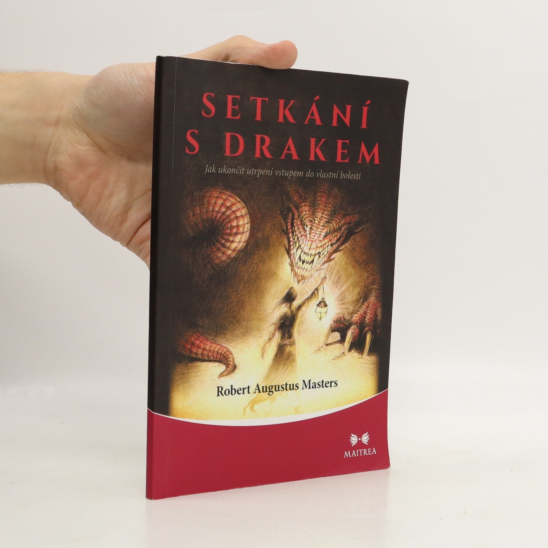 Robert Masters Setkání s drakem : jak ukončit utrpení vstupem do vlastní bolesti