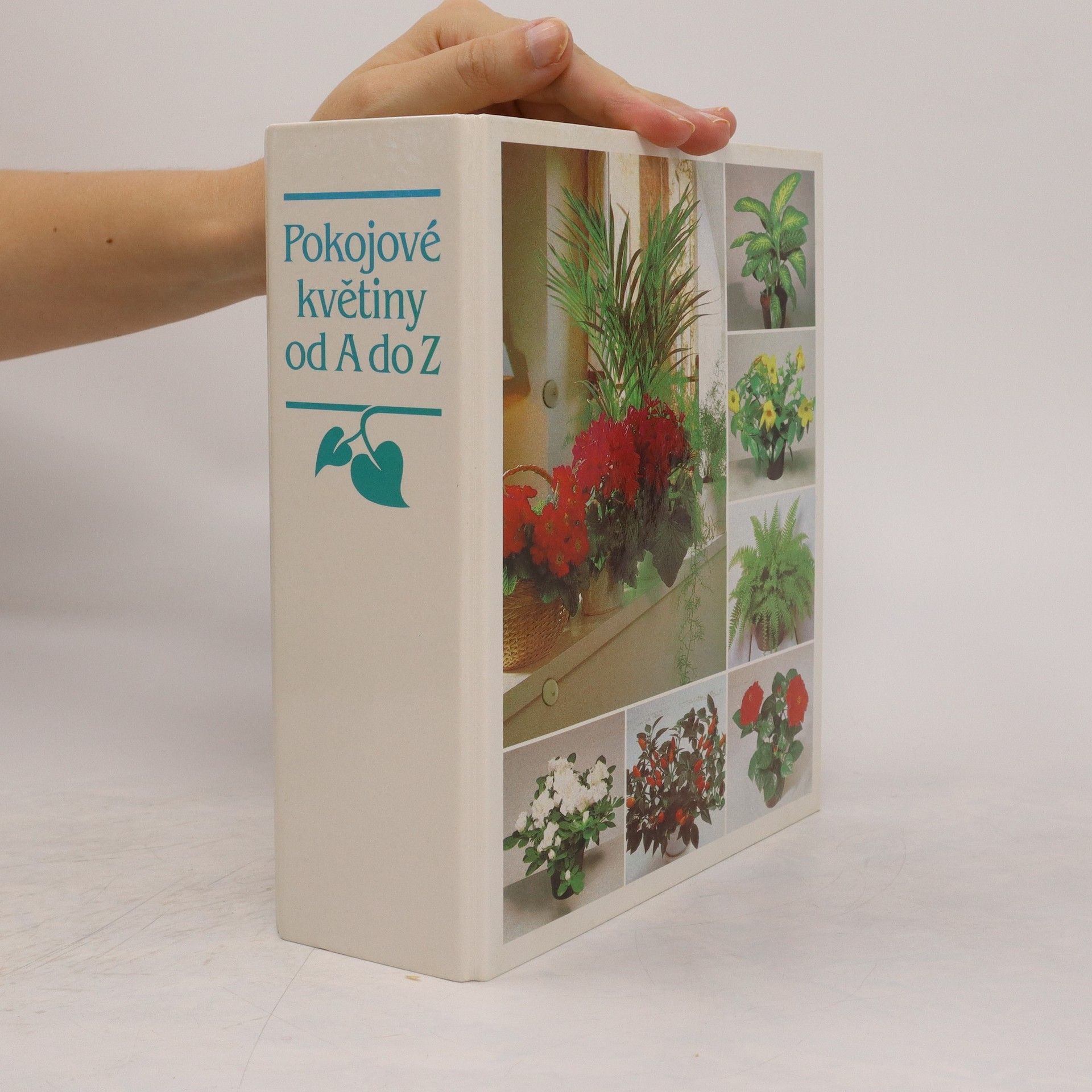 Kolektiv autorů Pokojové květiny od A do Z: 3 - Popínavé a převislé rostliny (316-384, komplet) / 4 - Kaktusy/sukulenty, bromélie (385-502, komplet)