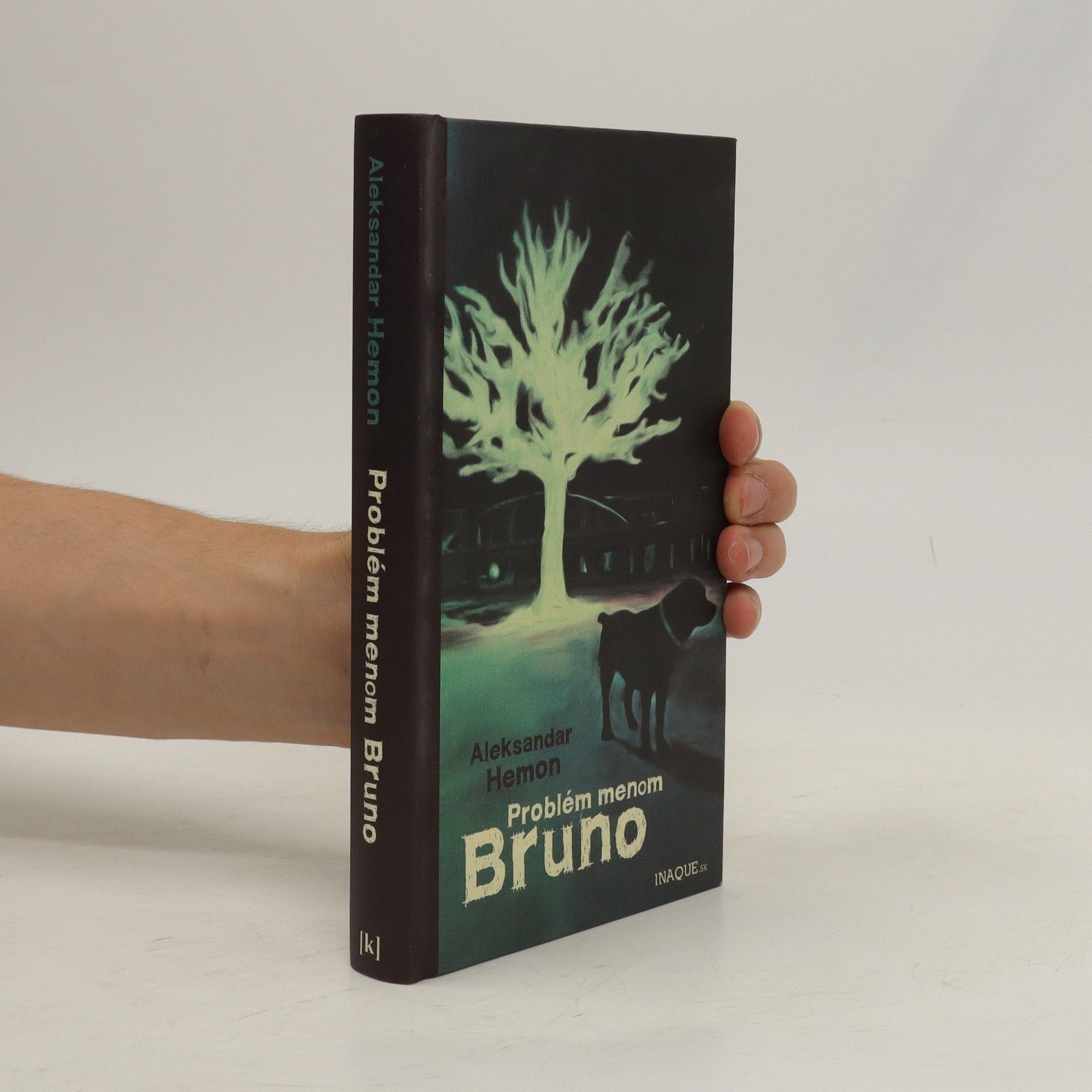 Aleksandar Hemon Problém menom Bruno