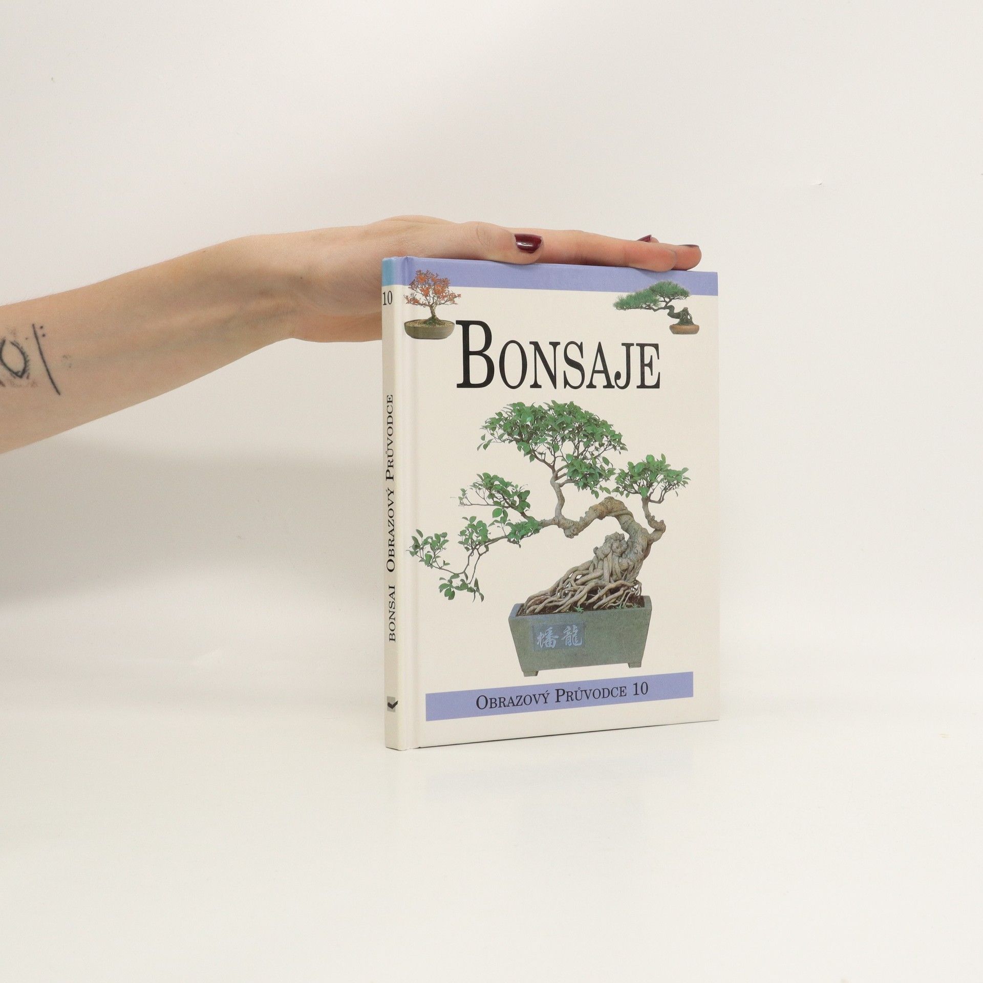 Kolektiv autorů Bonsaje