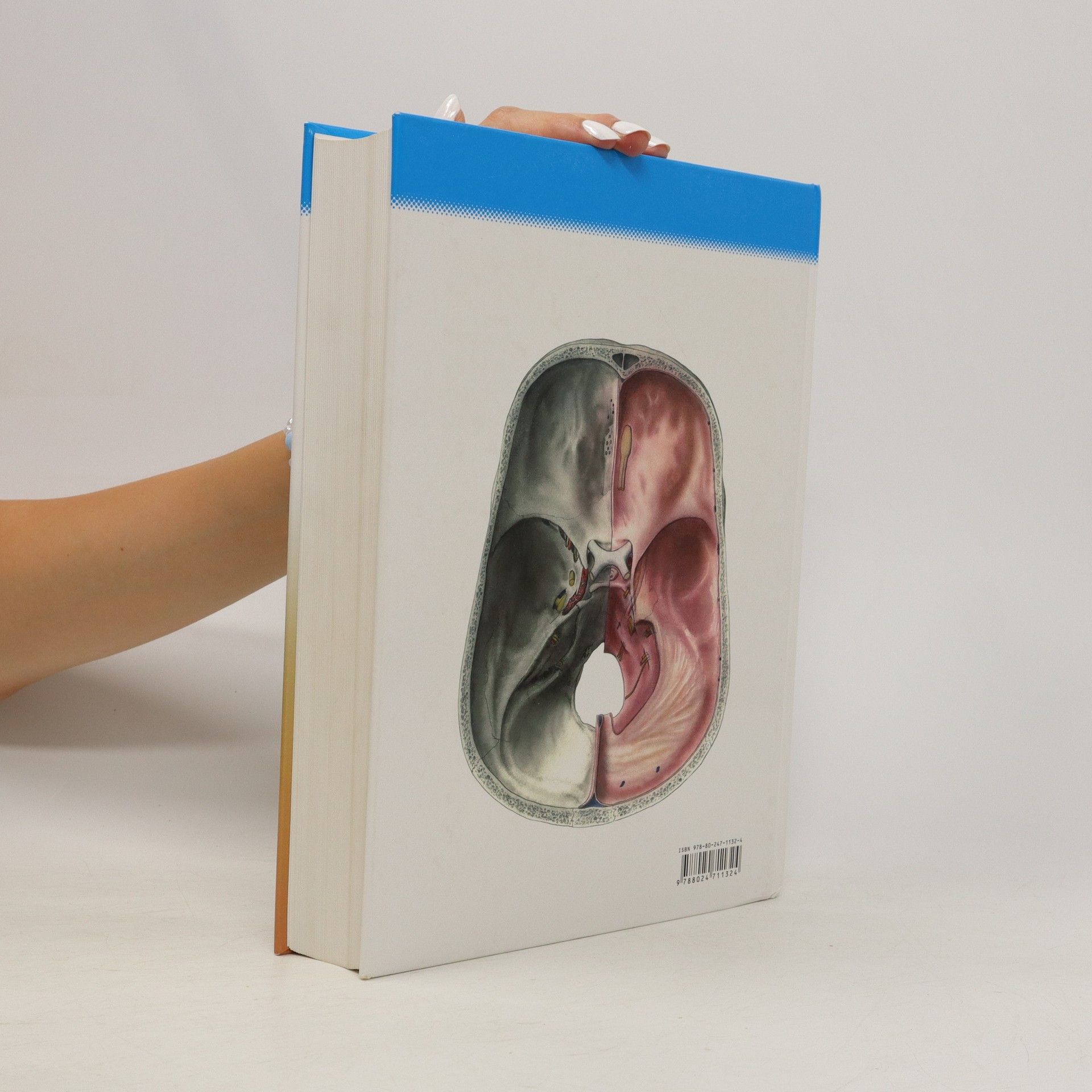 Radomír Čihák Anatomie 3