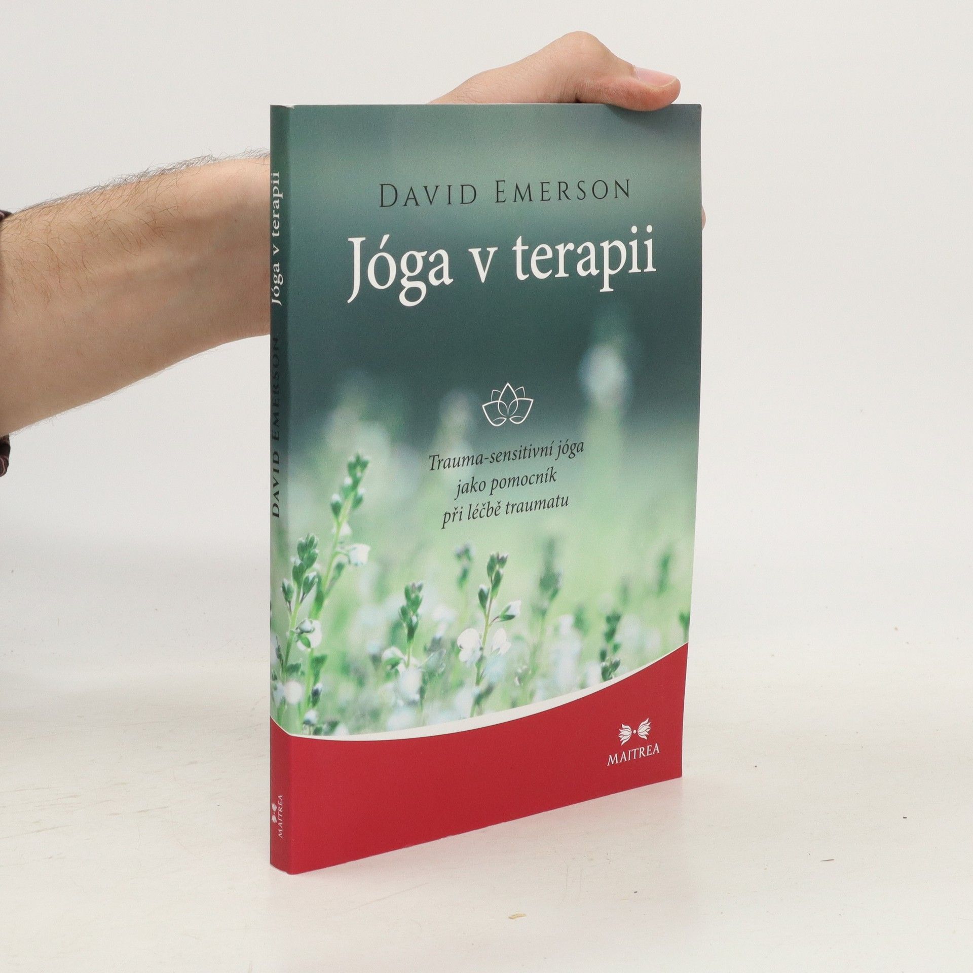 David Emerson Jóga v terapii
