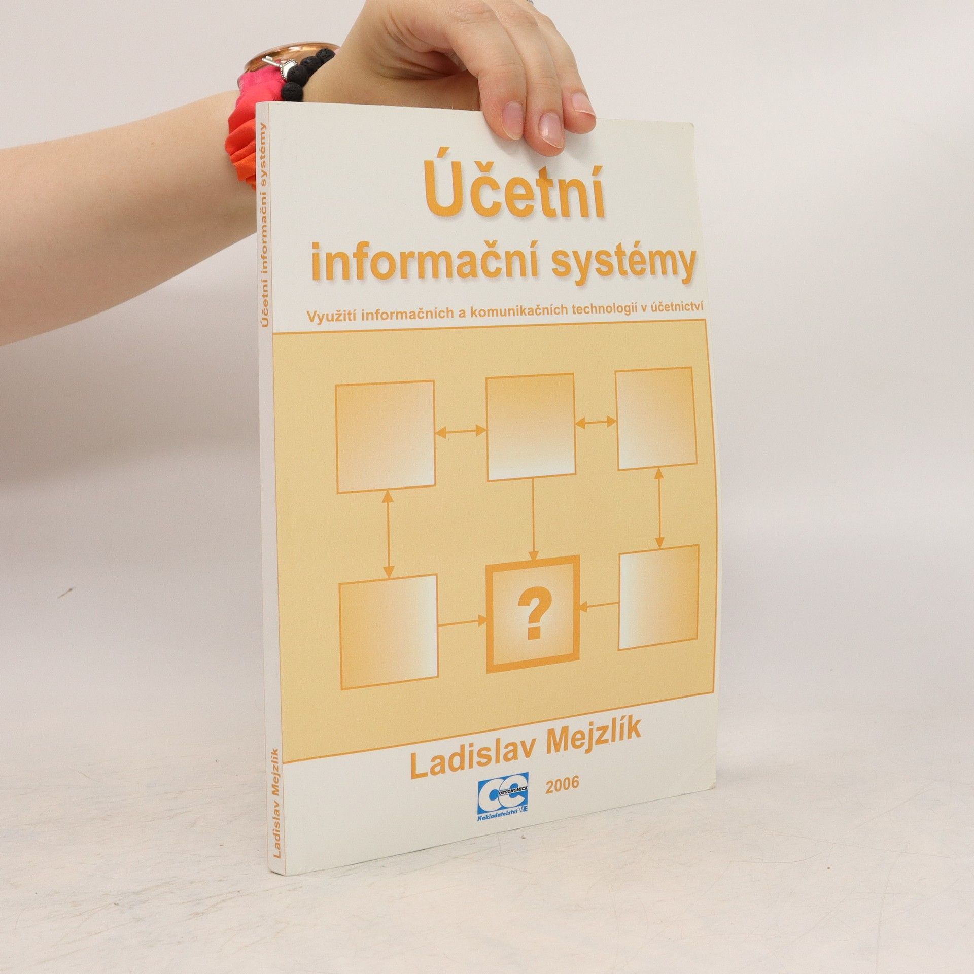 Účetní informační systémy : využití informačních a komunikačních technologií v účetnictví