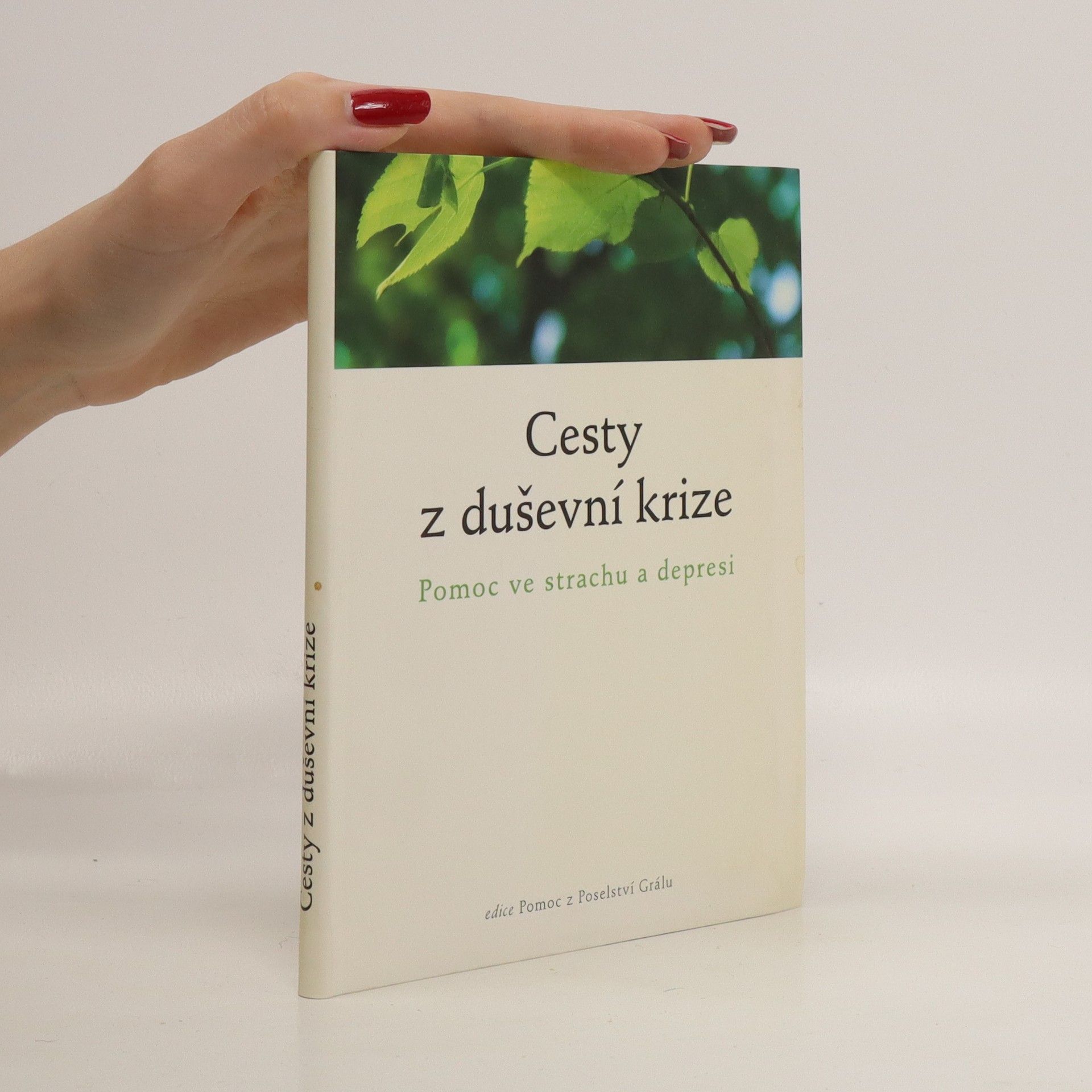 Collectif d'auteurs Cesty z duševní krize : pomoc ve strachu a depresi