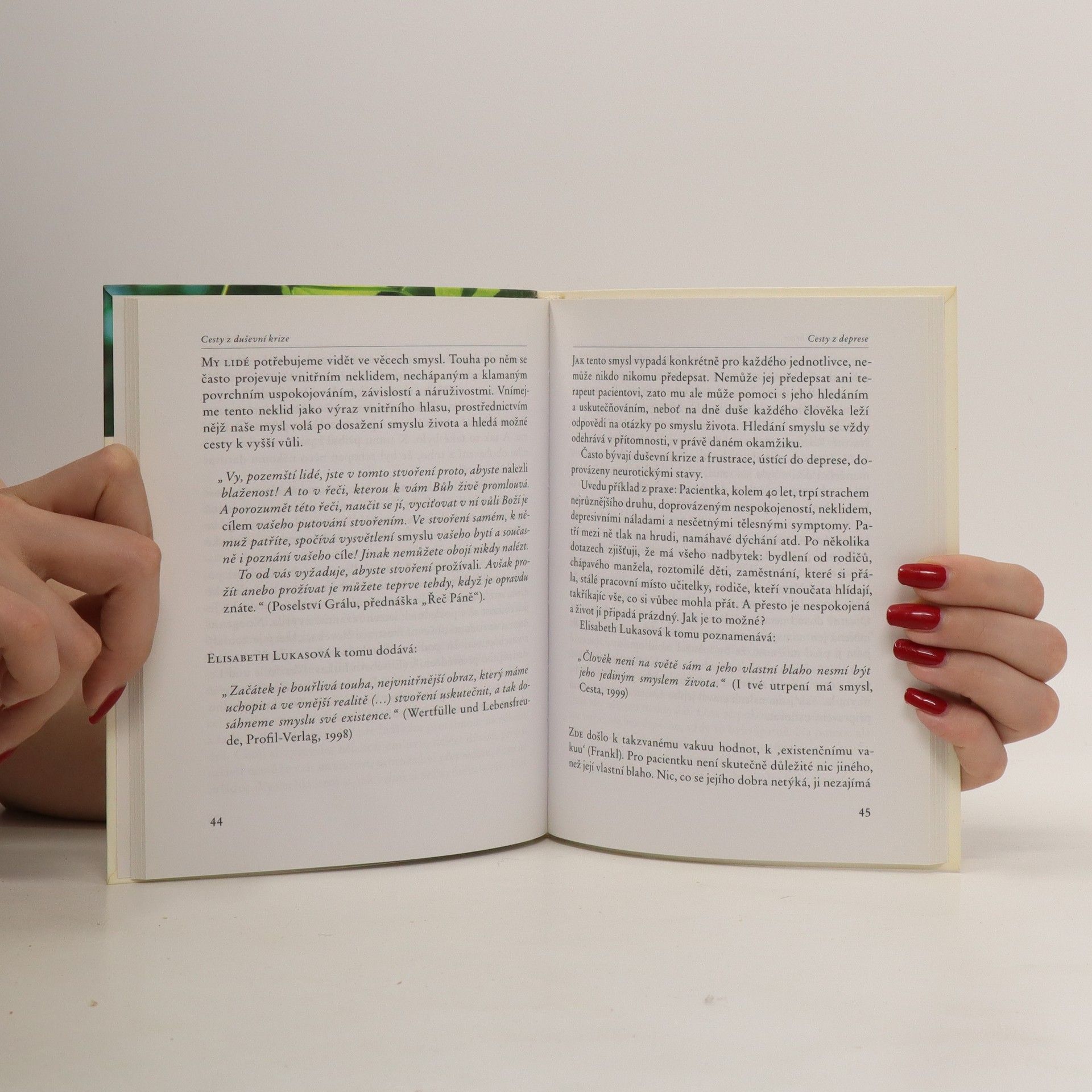 Collectif d'auteurs Cesty z duševní krize : pomoc ve strachu a depresi