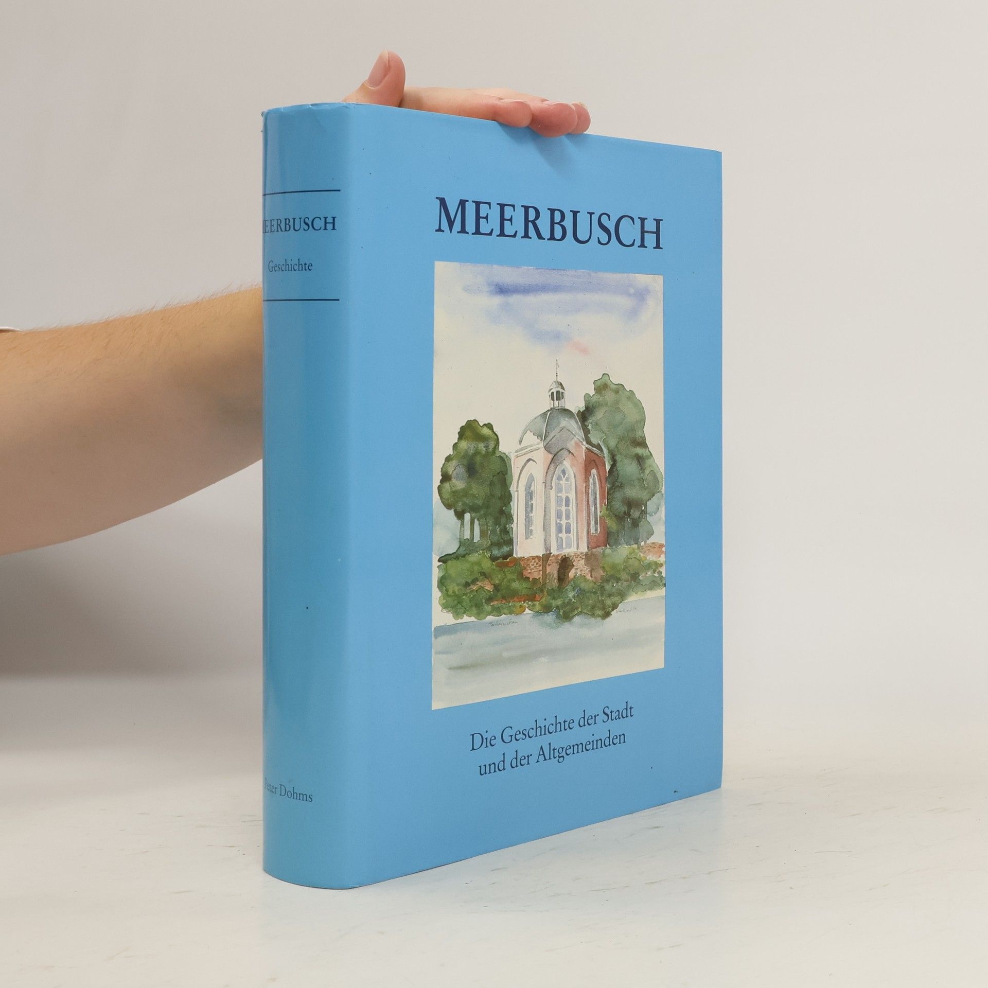 AA.VV. Meerbusch. Die Geschichte der Stadt und der Altgemeinden von den Ursprüngen bis zur Gegenwart