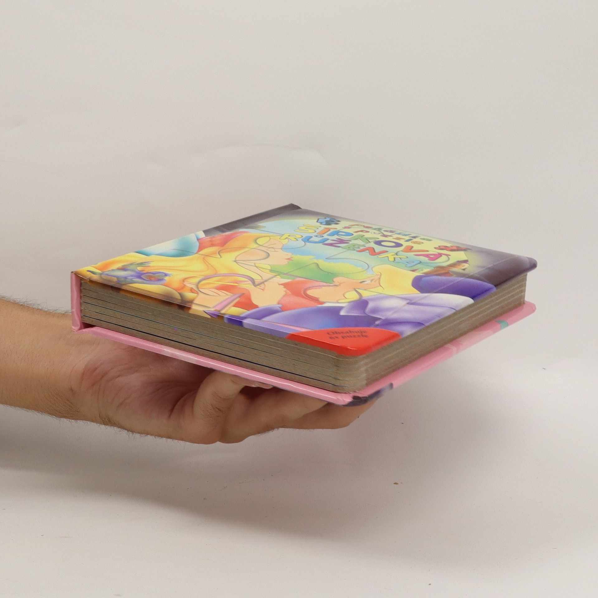 Autorenkollektiv Šípková Růženka : pohádka s puzzle