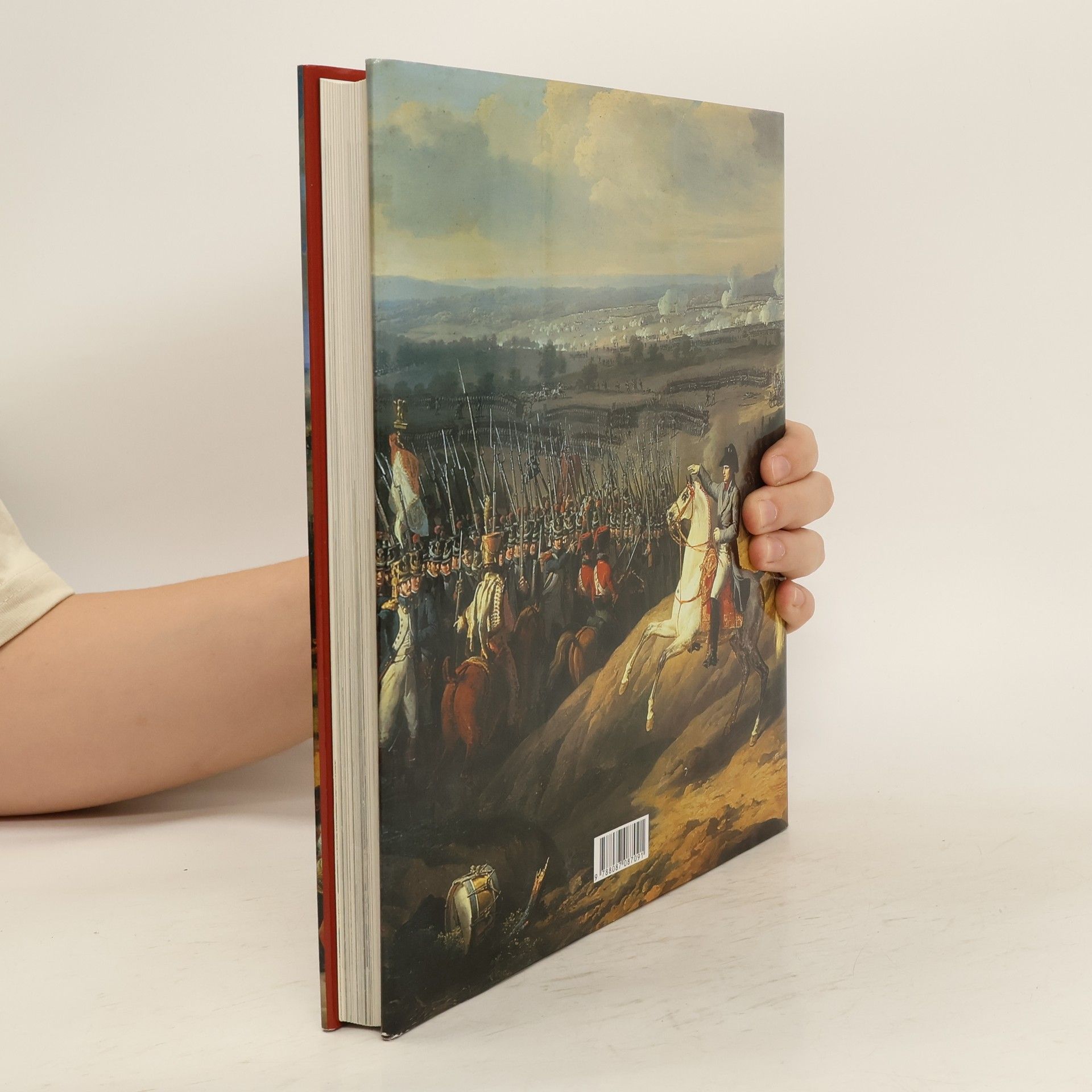 Stéphane Audoin-Rouzeau Velké bitvy historie